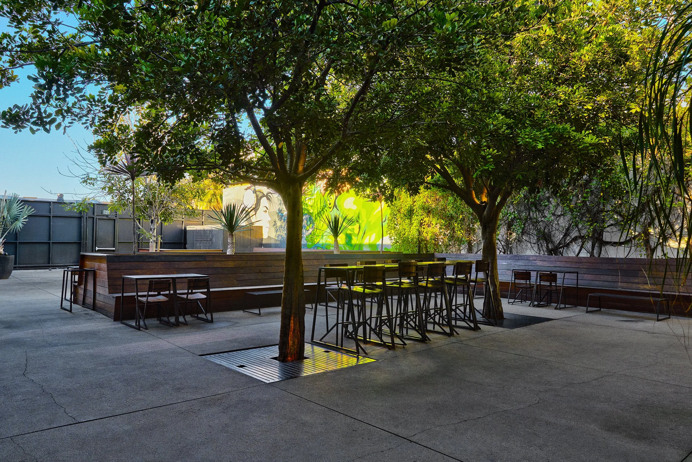 0K7A9981_Acopy copy.jpg