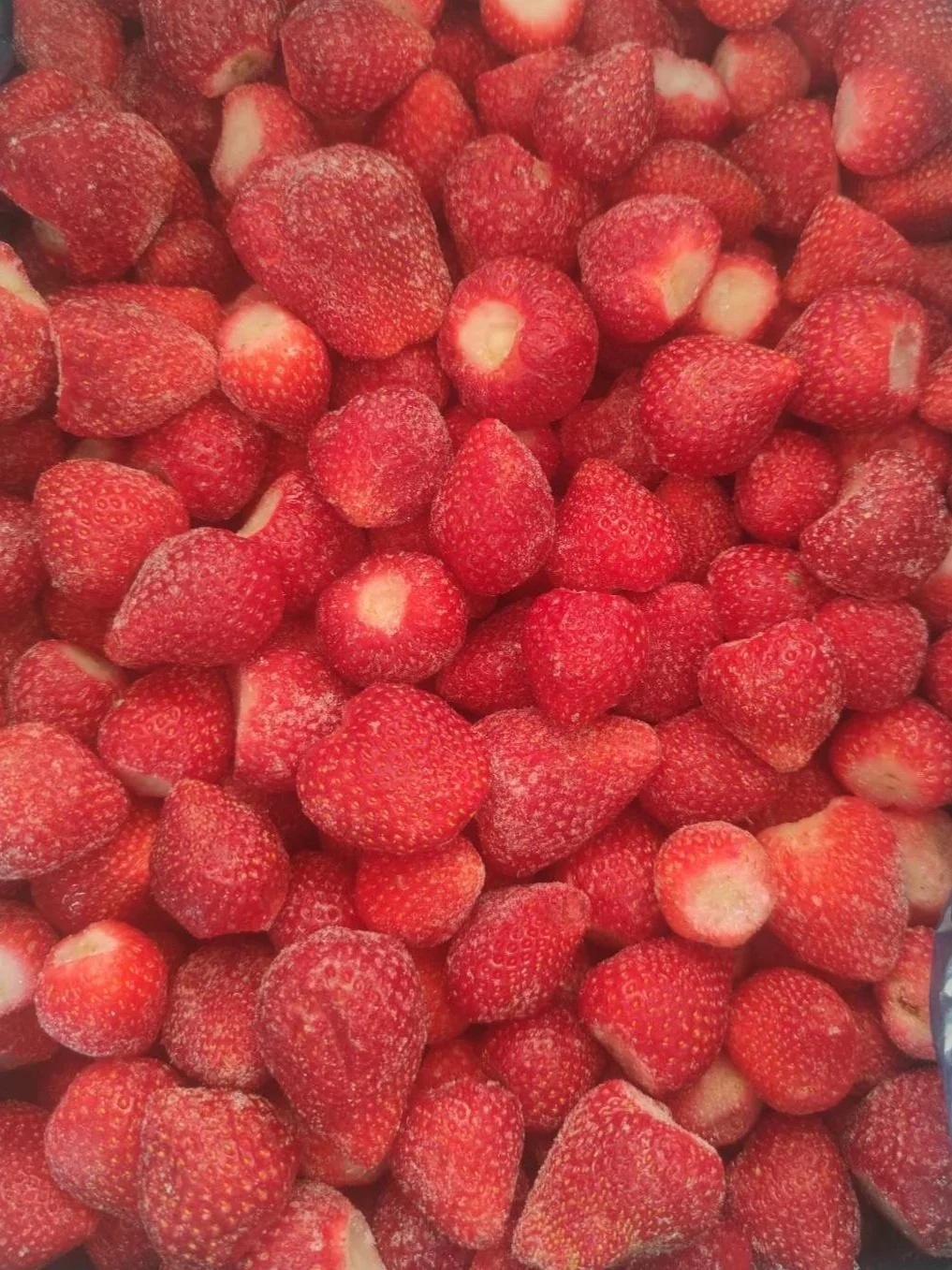 A large quantity of frozen strawberries in a blue container.