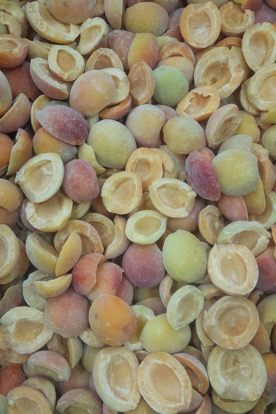 Close-up of dried apricot pits, some with a peach and green coloring, many with their shells removed, showing the hollow interior.