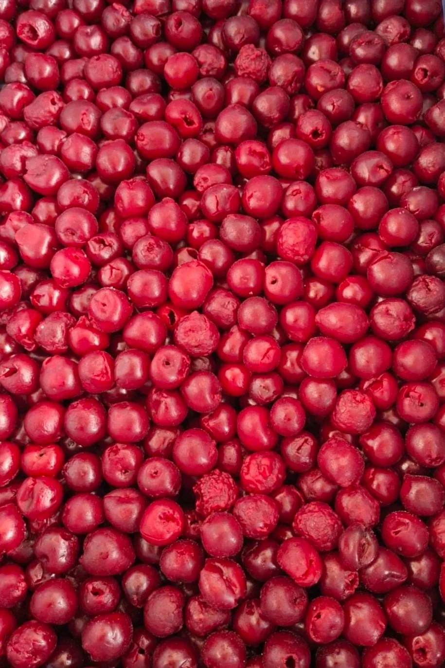 A large pile of fresh red cranberries.