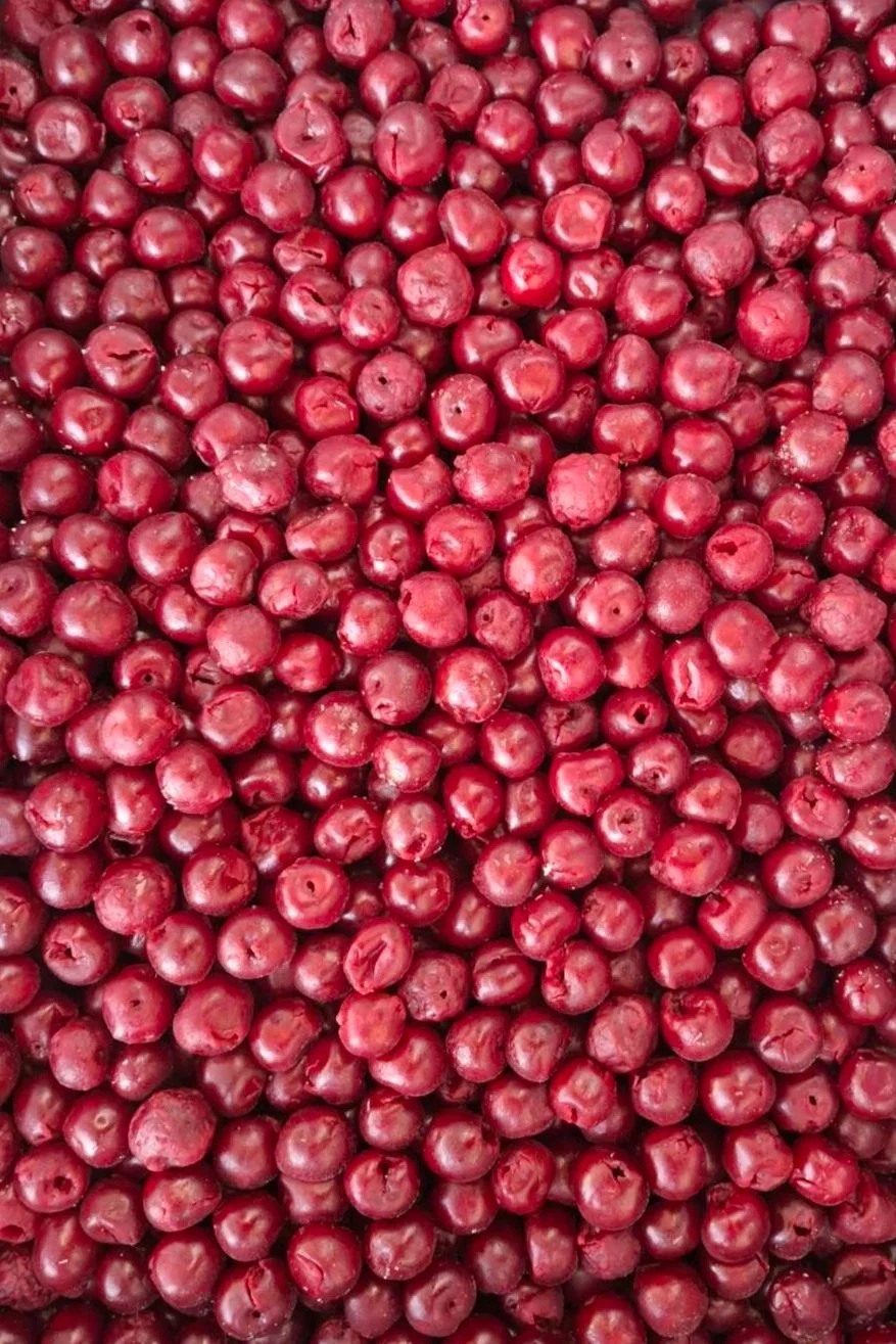 A large pile of fresh red cranberries
