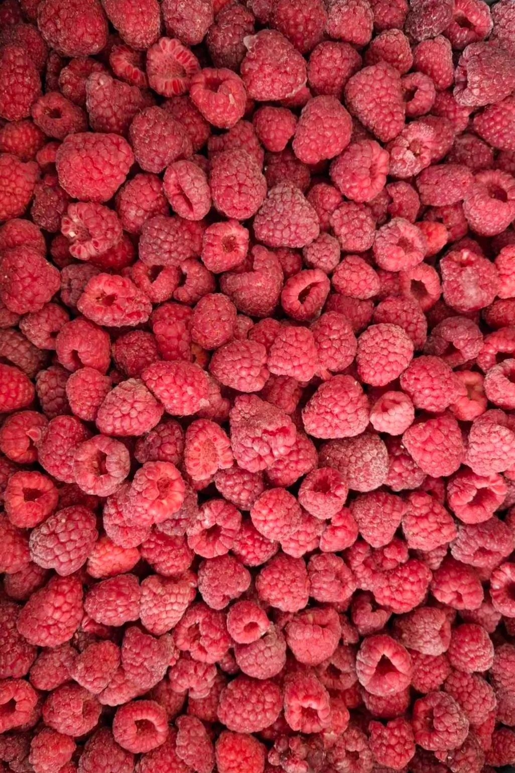 A large collection of fresh red raspberries piled together.