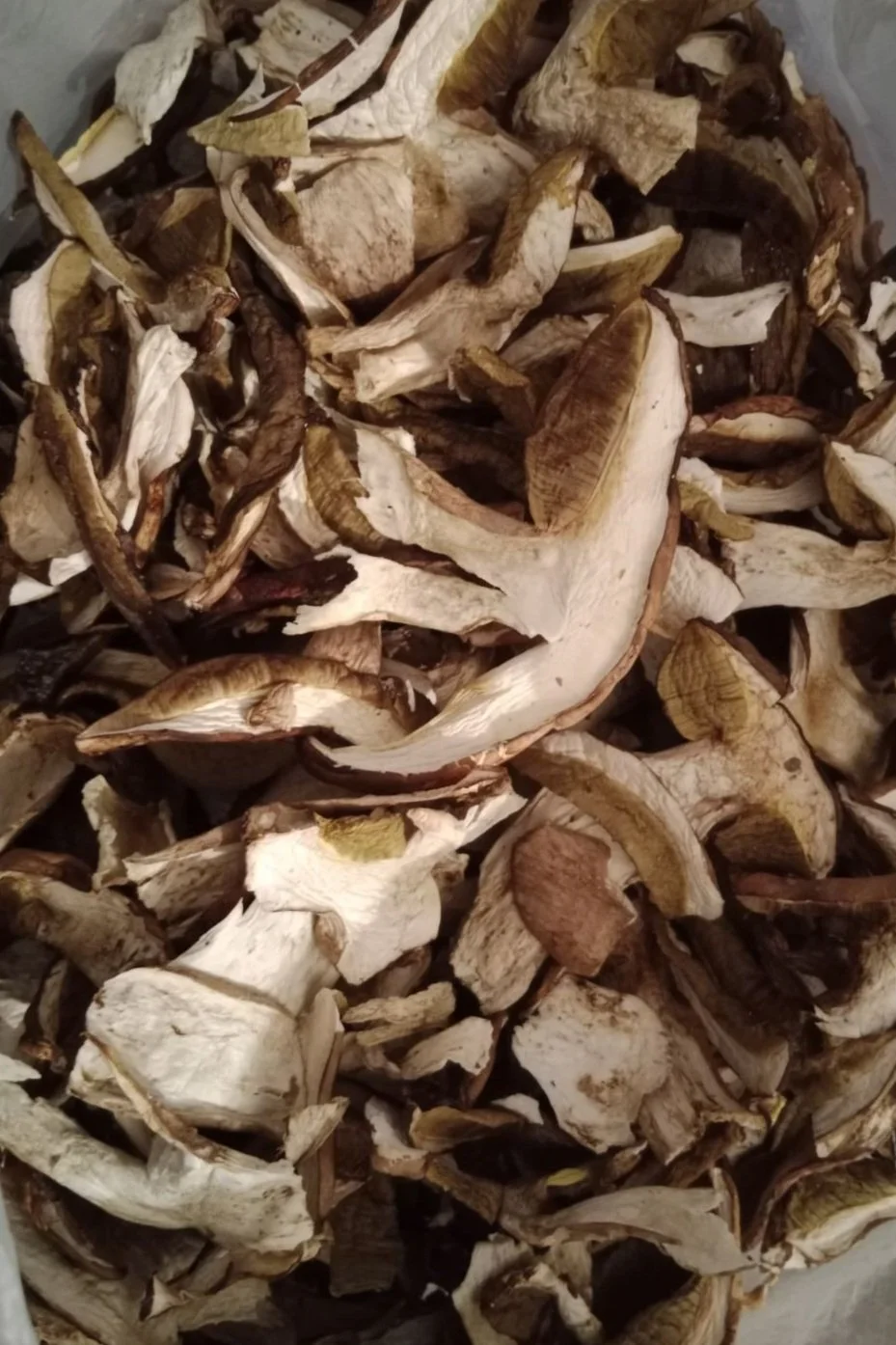 Dried porcini mushrooms in a bag