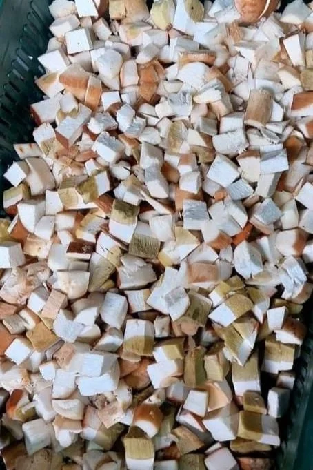 Diced bread pieces in a green plastic crate