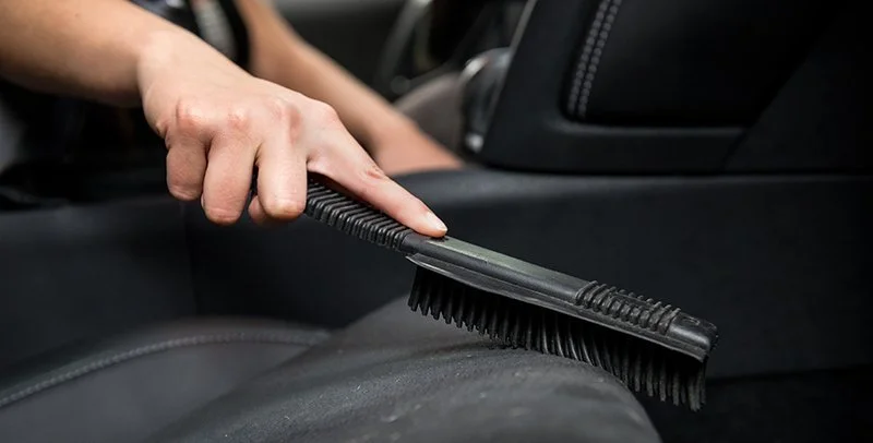 pet hair removal.jpeg