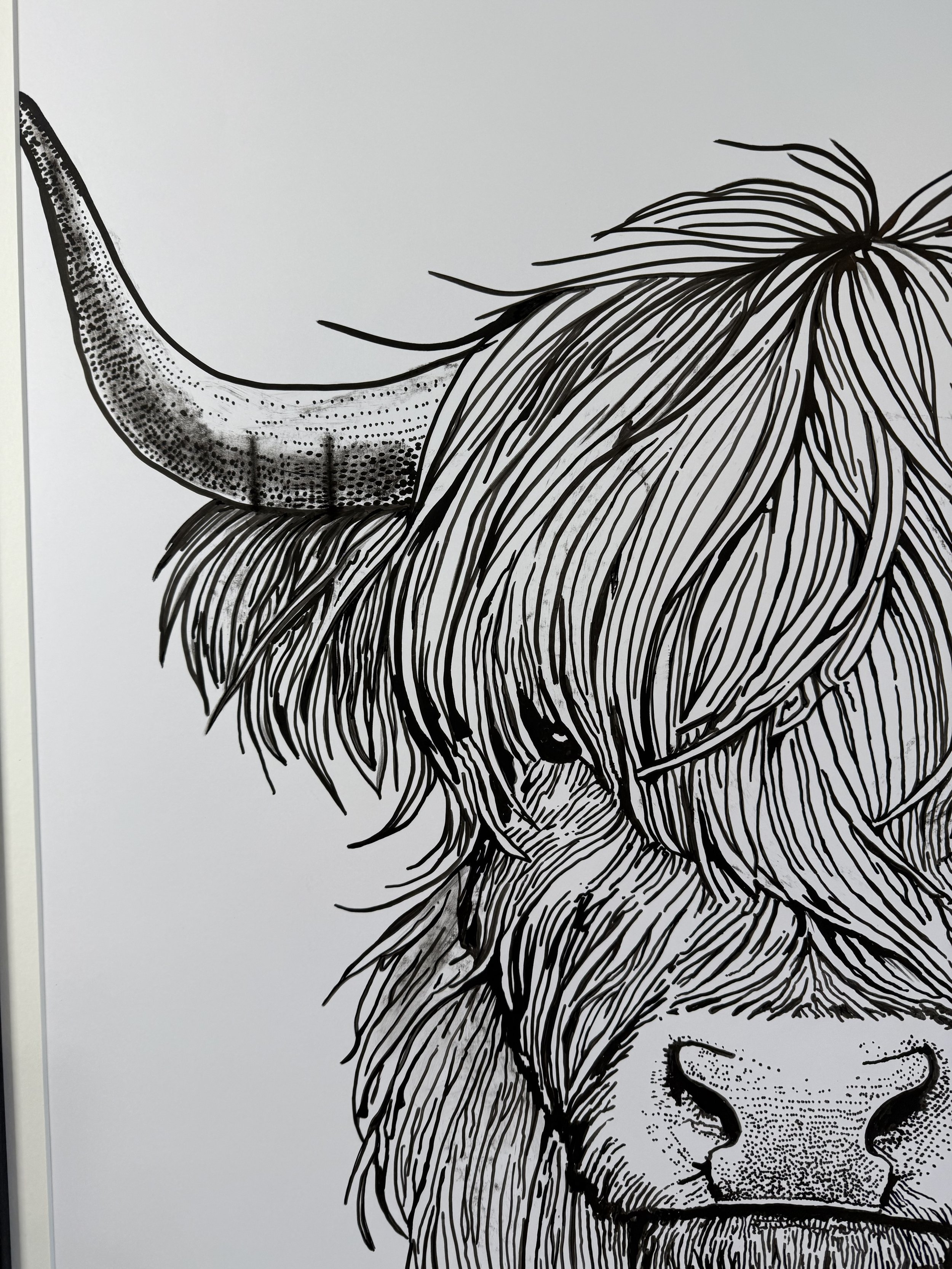 Limited edition cow drawing for sale