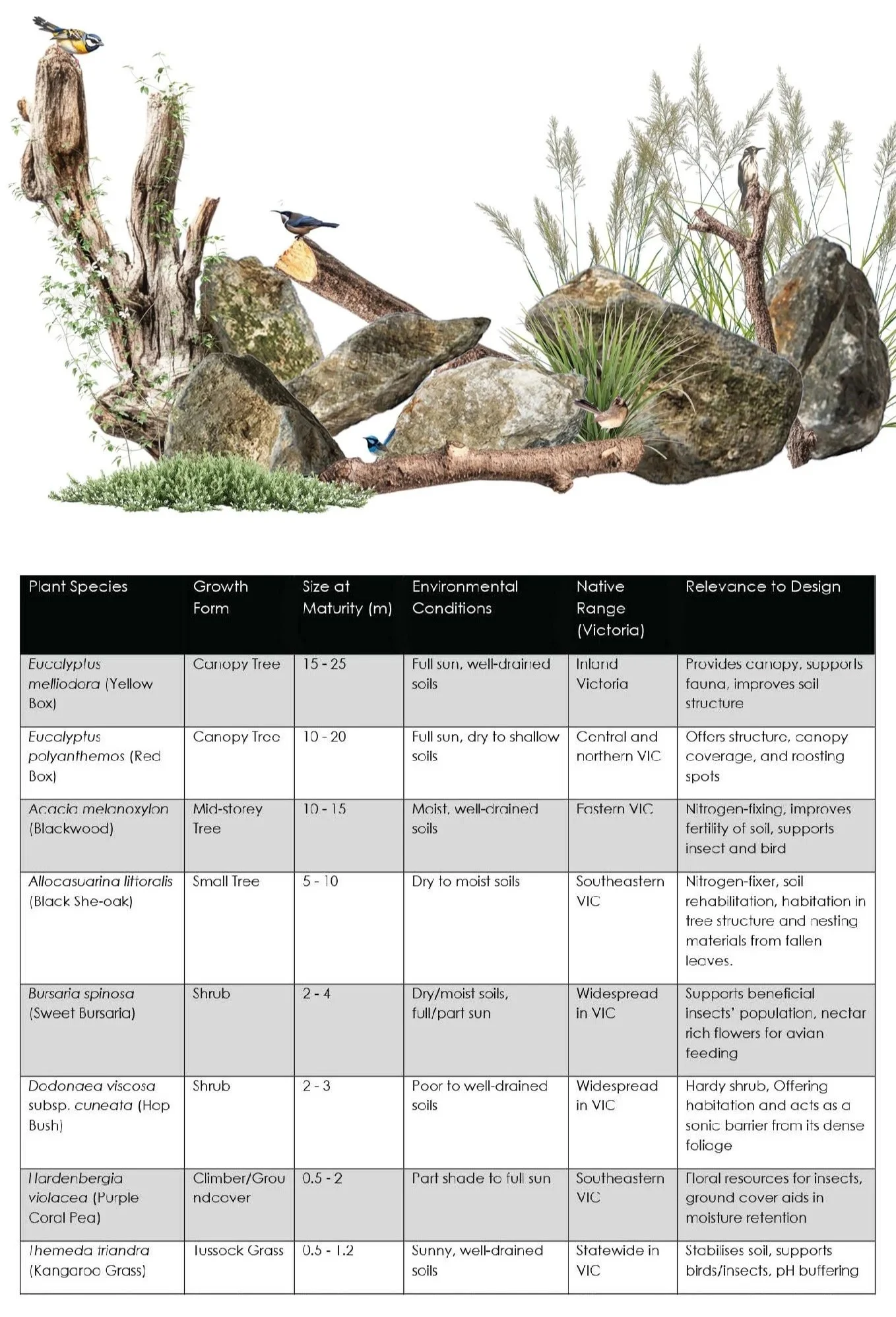 Bespoke planting palette (excerpt) for 'Urban Avisary Refuge', informed by Hassell's 'Wildlife Habitat Design in the Public Realm' talk which shared the significance of hides and materiality such as rocks, wood and flora to formulate a super ecology.