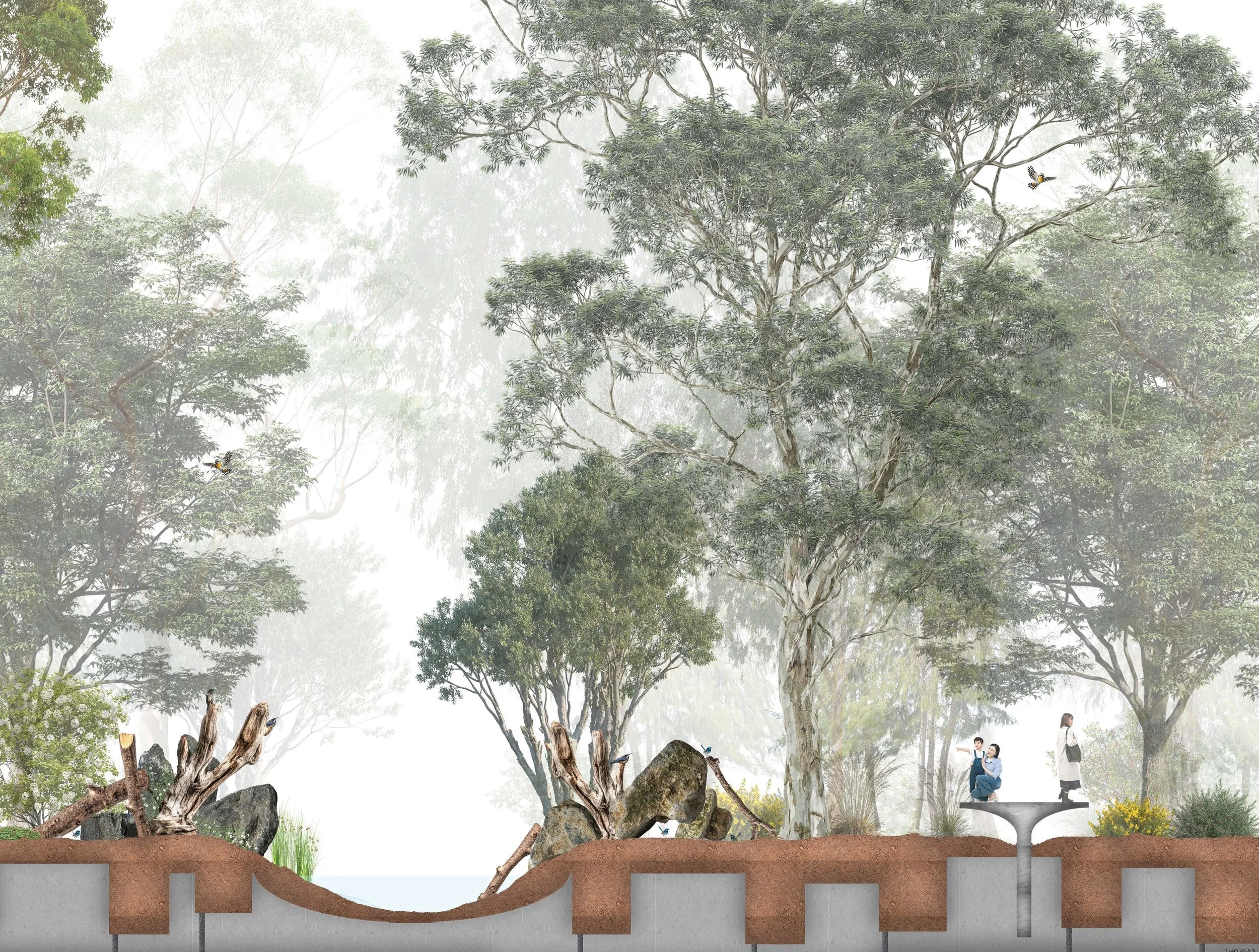‘Urban Avisary Refuge’ foregrounds designing for Australian songbirds in urban environments. It manipulates above and below
ground conditions to foster habitat formation. Inclusionary and exclusionary zones
explore the coexistence of humans within th
