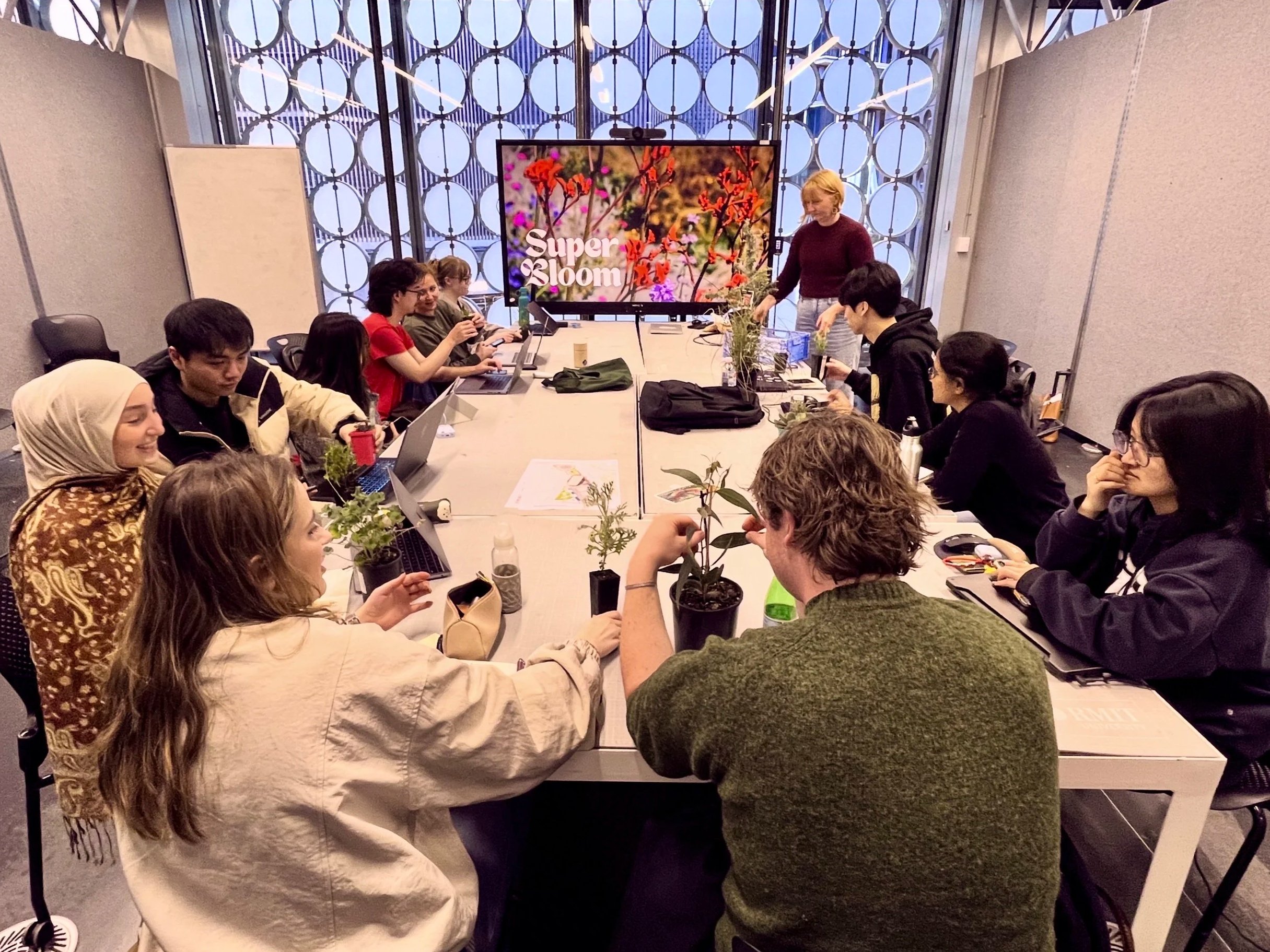 A group of students seated around a conference table with laptops and plants, attending a workshop with Jac Semmler, founder of Super Bloom Plant Practice as part of the Sites of Belonging Studio at RMIT University.
