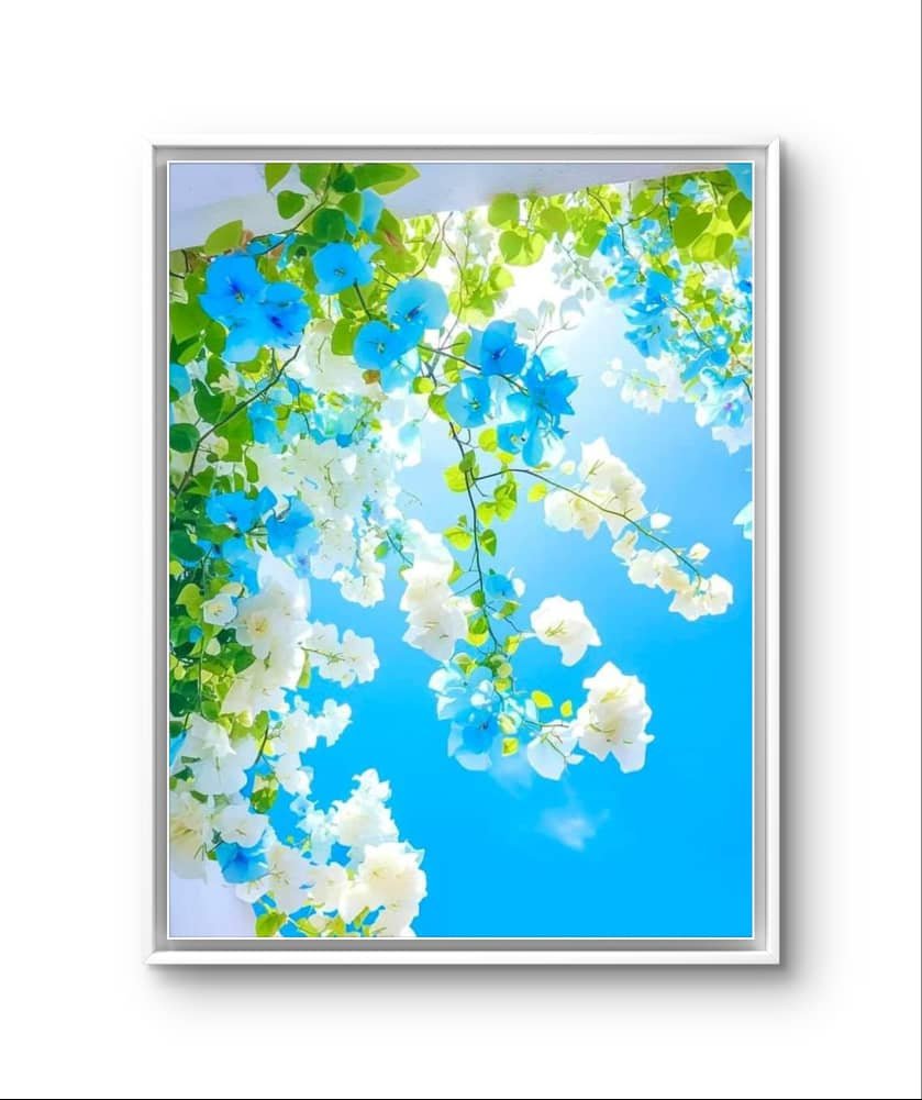ART 1