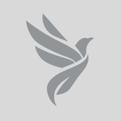 Illustration of a bird flying in front of a sunburst design