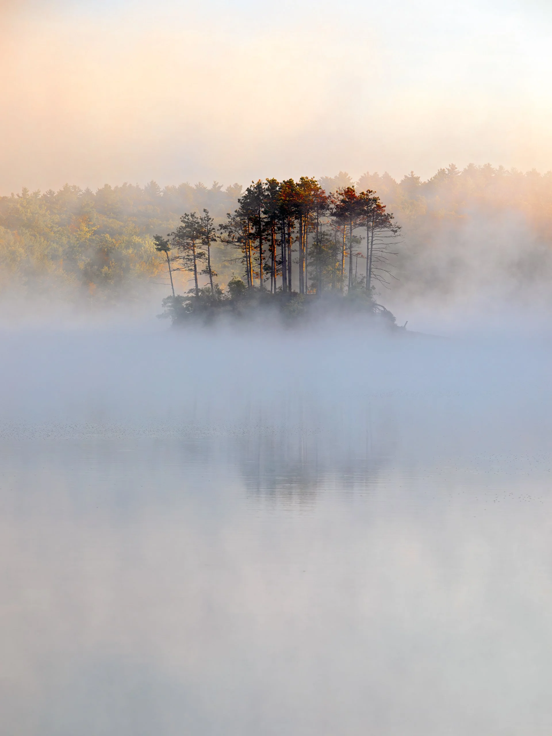 A foggy lake with an island of tall trees in the center, surrounded by mist.