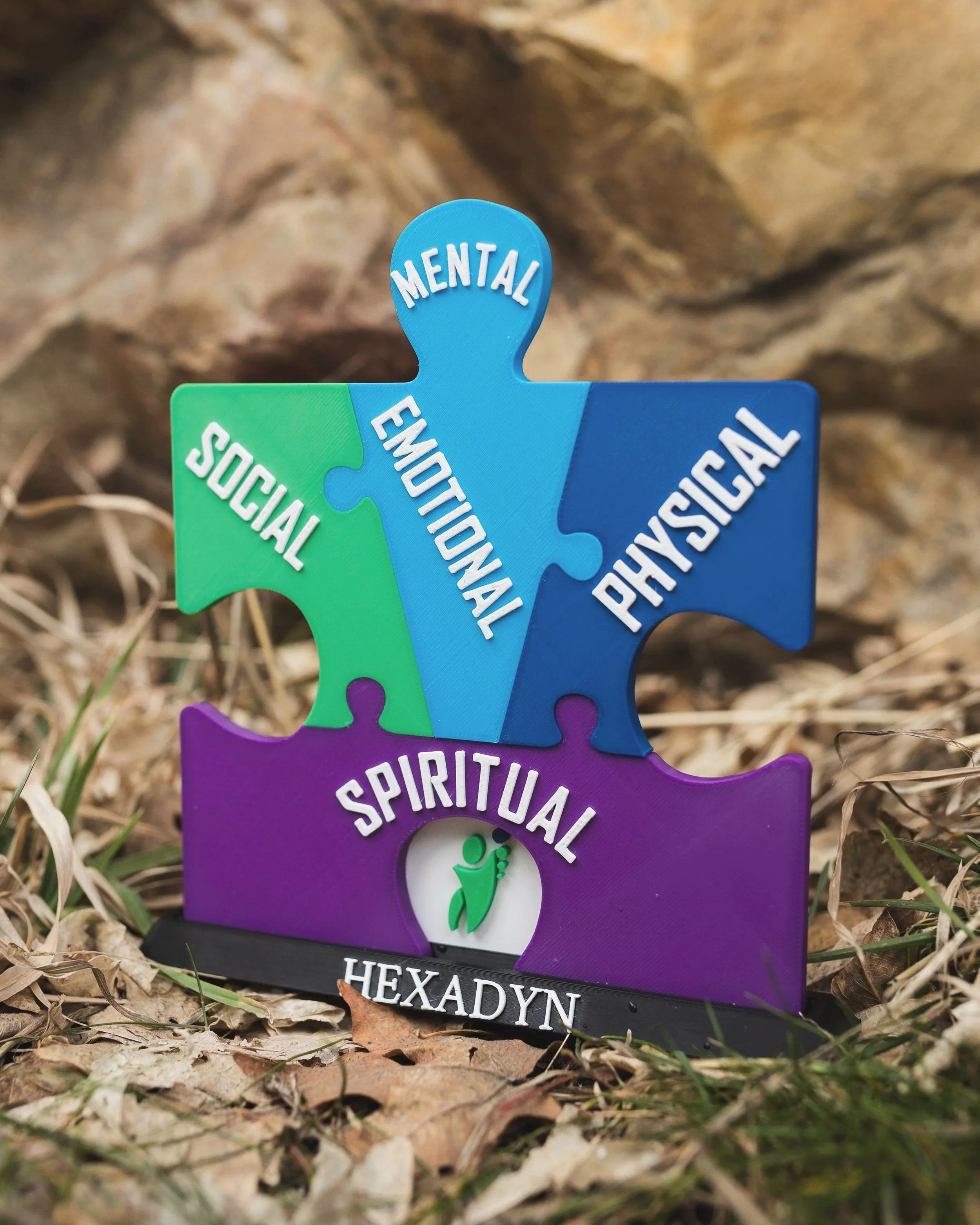 Puzzle piece graphic with different sections labeled social, emotional, mental, physical, and spiritual, with a small figure at the bottom and the name Hexadyn.