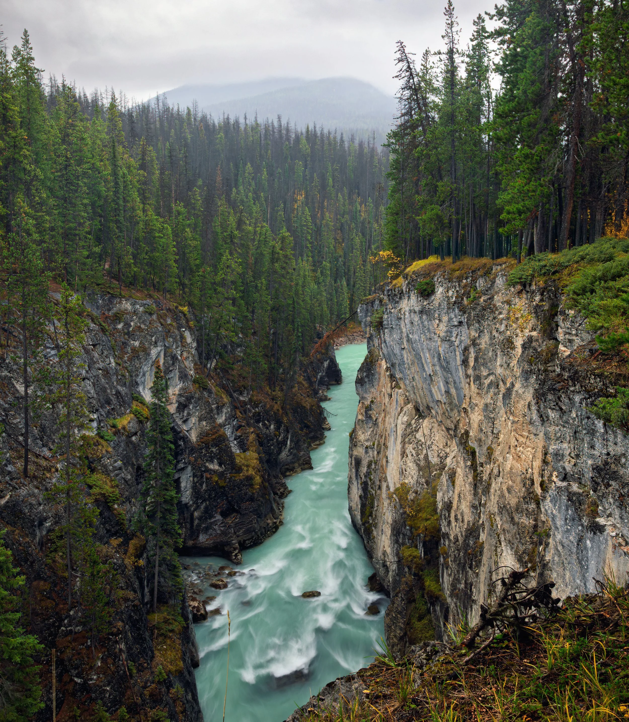 A narrow, fast-moving river flowing through a deep canyon surrounded by dense evergreen forest, with misty mountains in the background.