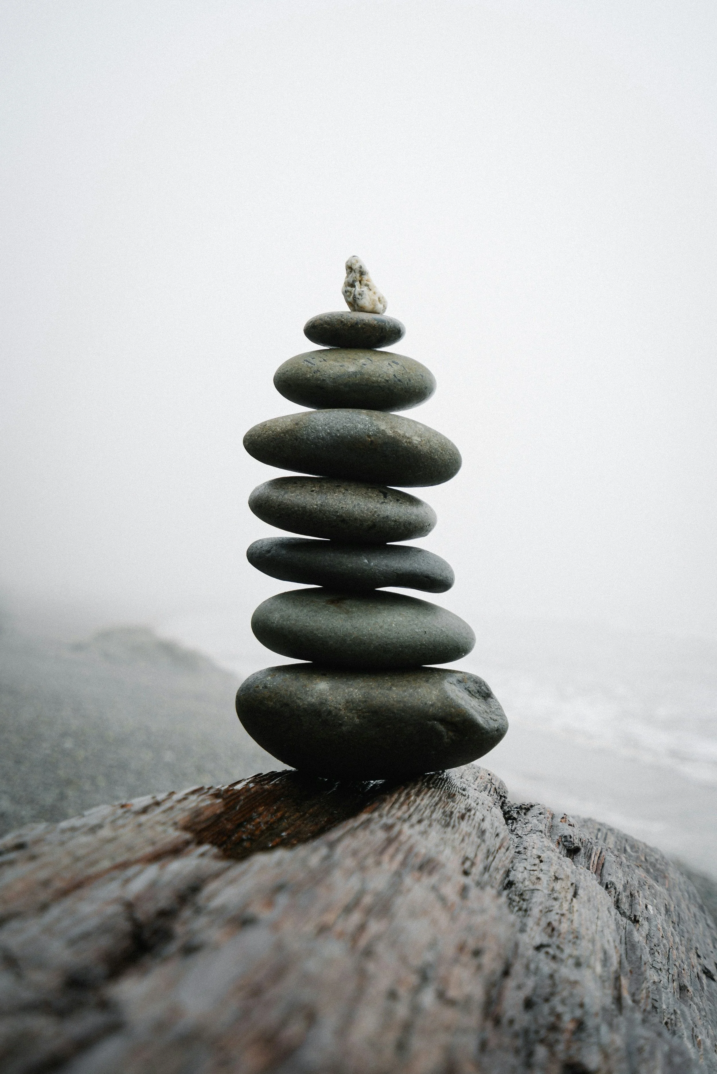 Stack of nine smooth, gray stones balanced on a piece of driftwood, with foggy shoreline in the background.