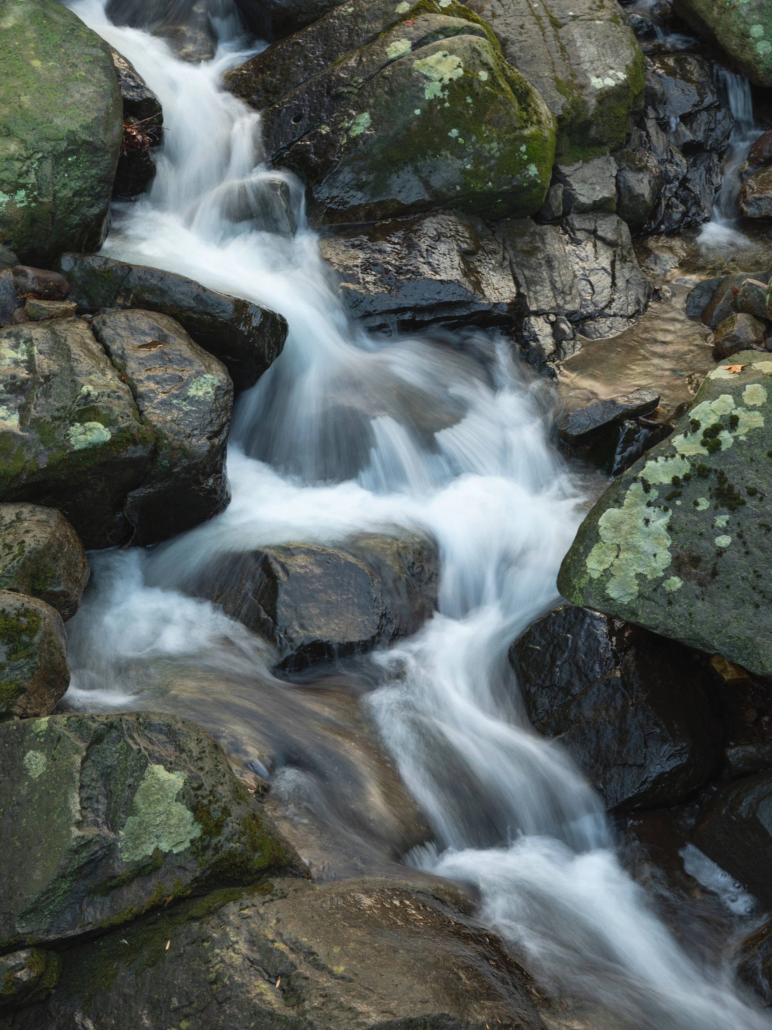 A small river or stream flowing over dark rocks with patches of green moss and lichen.