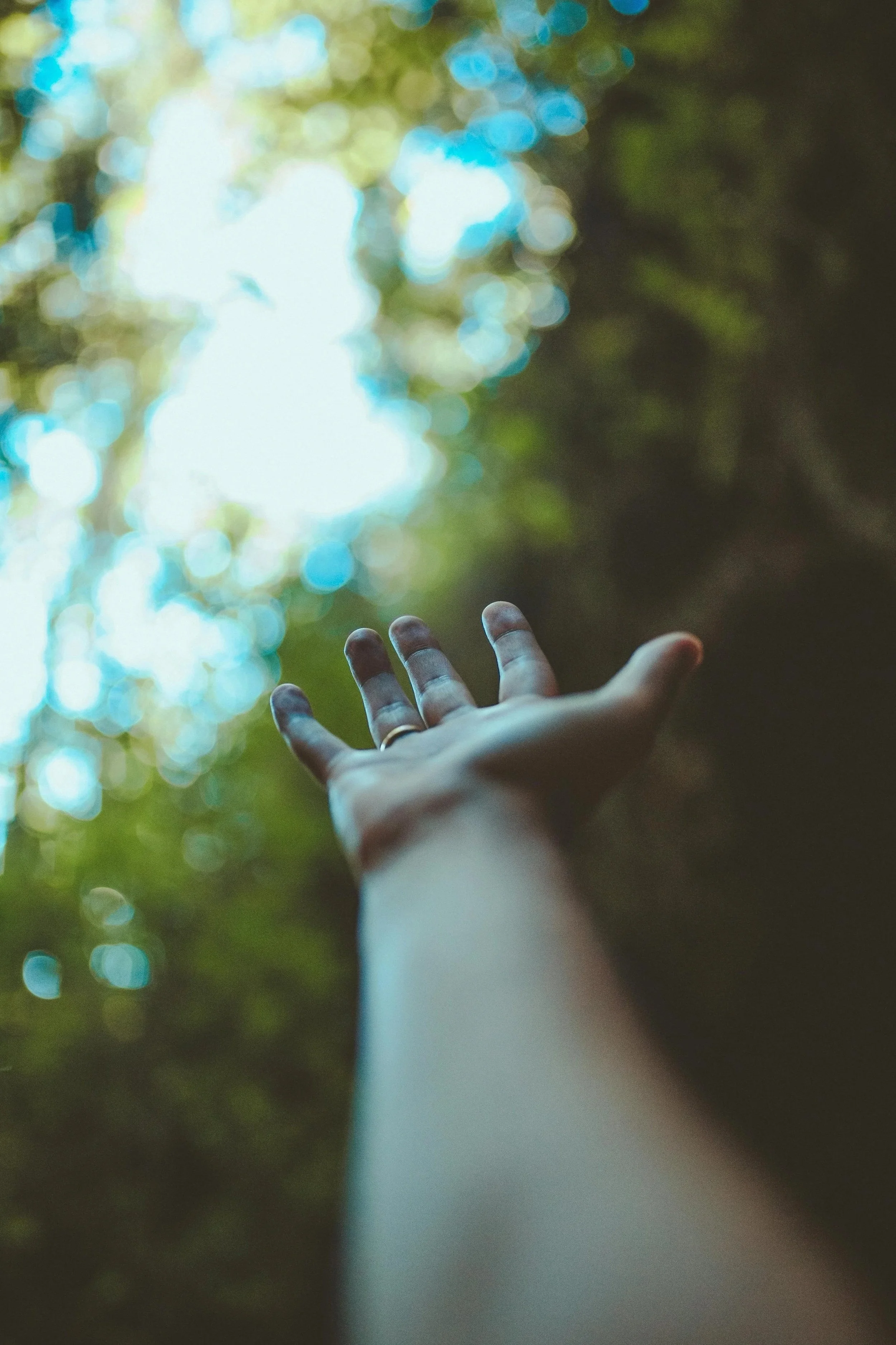 A hand reaching upward towards the sky with a blurred background of green foliage and blue sky, dappled with sunlight.