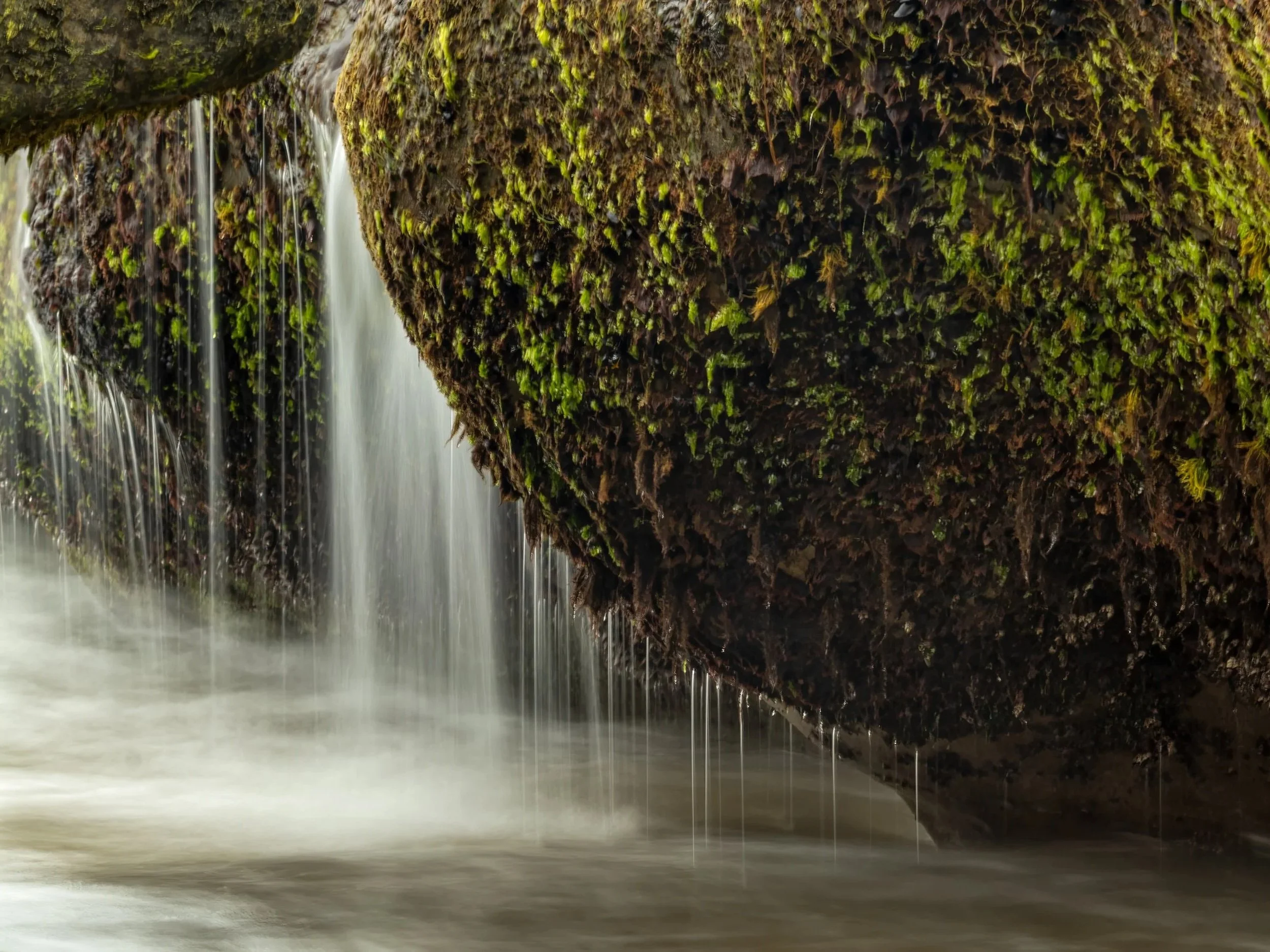 Close-up view of moss-covered rocks with water cascading down from a waterfall.