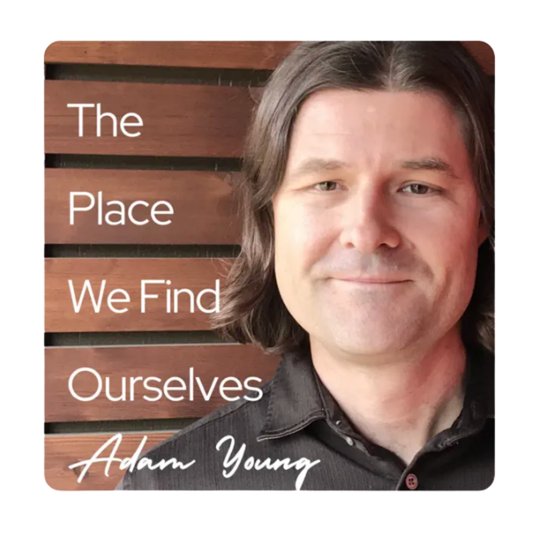 Book cover titled 'The Place We Find Ourselves' by Adam Young, featuring a portrait of a man with long hair in front of a wooden background.