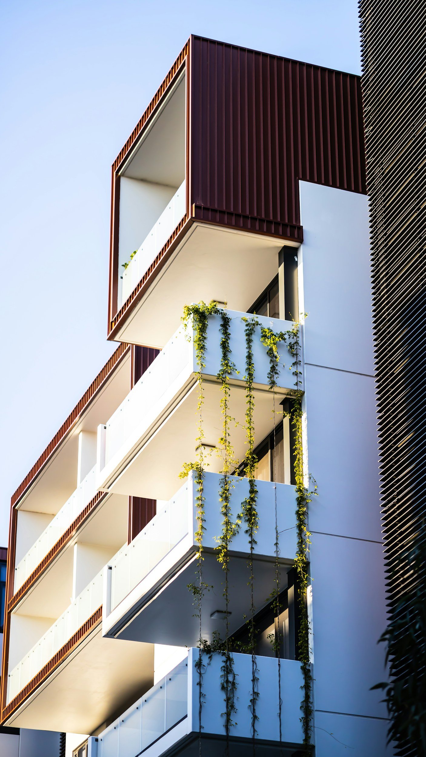 Strata lawn mowing in Ryde and Parramatta