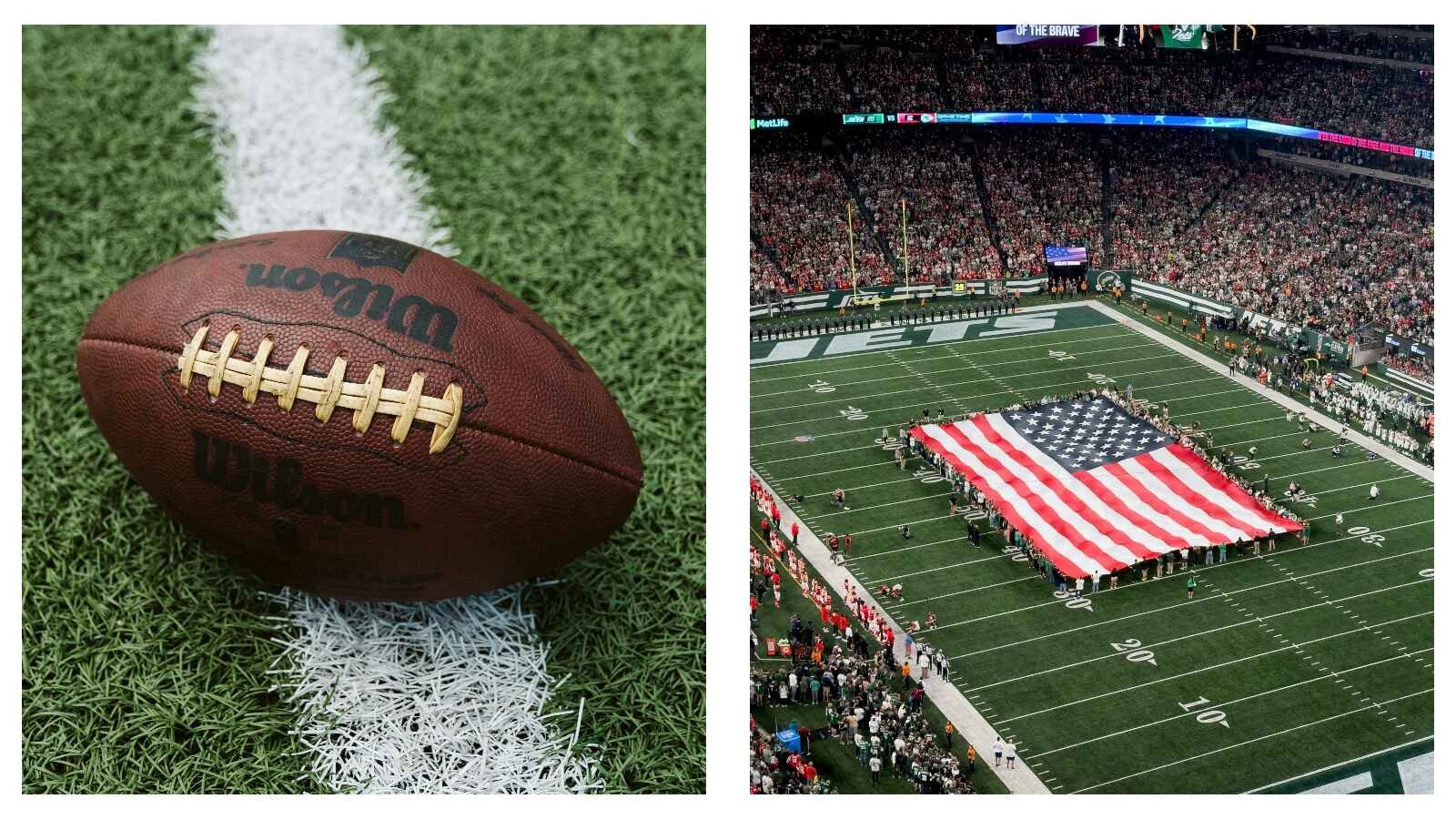 Florida news: Which Florida college should you use in College Football 26?