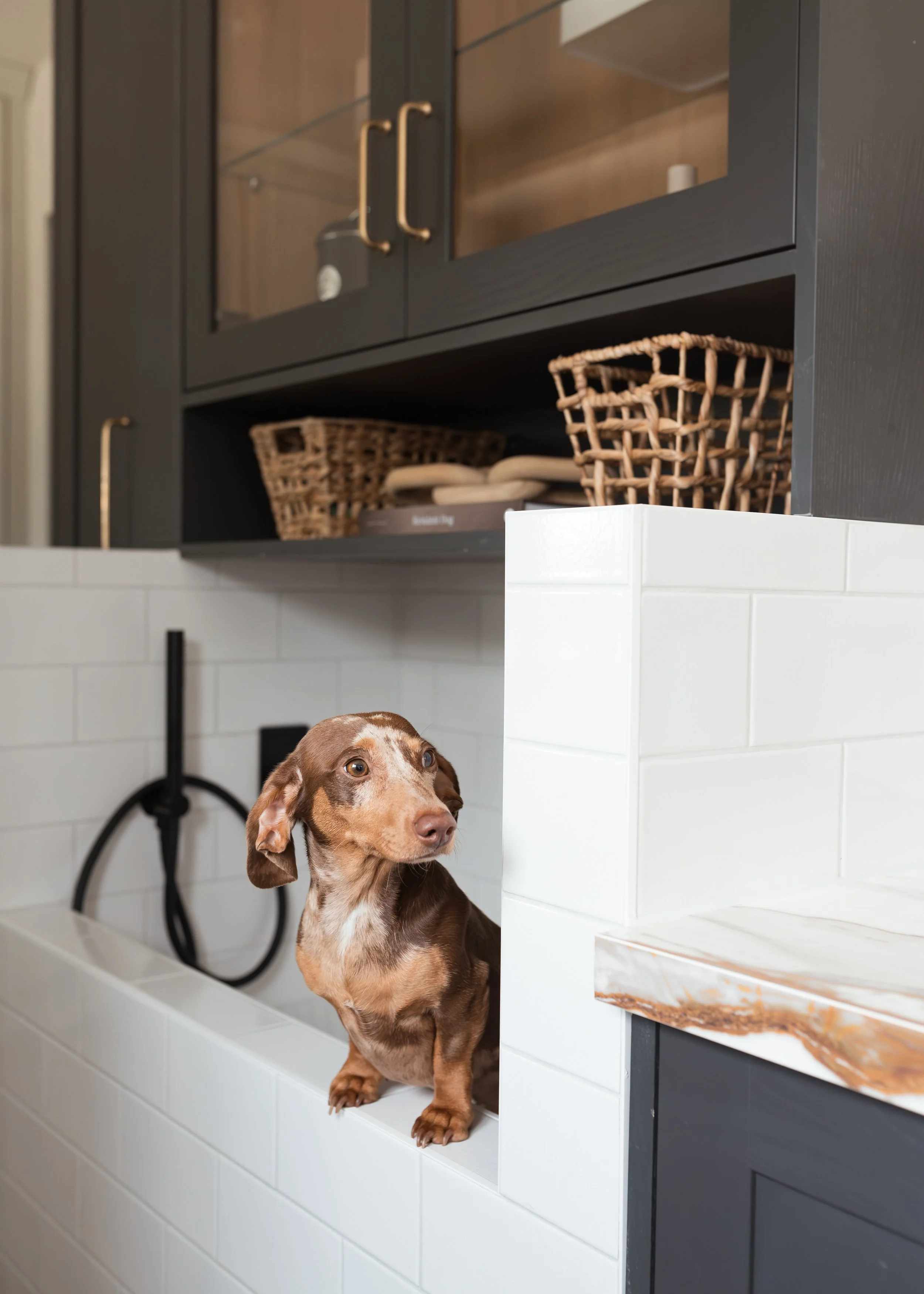 Bespoke subway-tiled dog wash station with custom mosaic detailing, integrated into a luxury Cheshire kitchen renovation. Lake District
