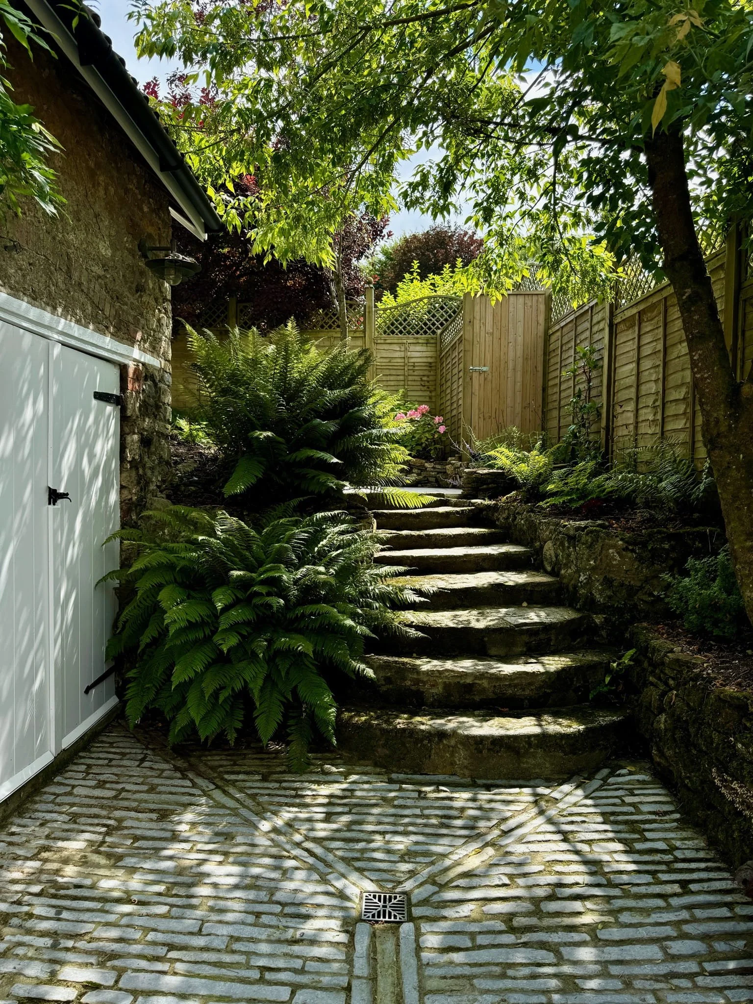 Stone steps leading up in a lush garden with green plants, trees, and a wooden fence and gate at the top, sunlight filtering through the leaves.