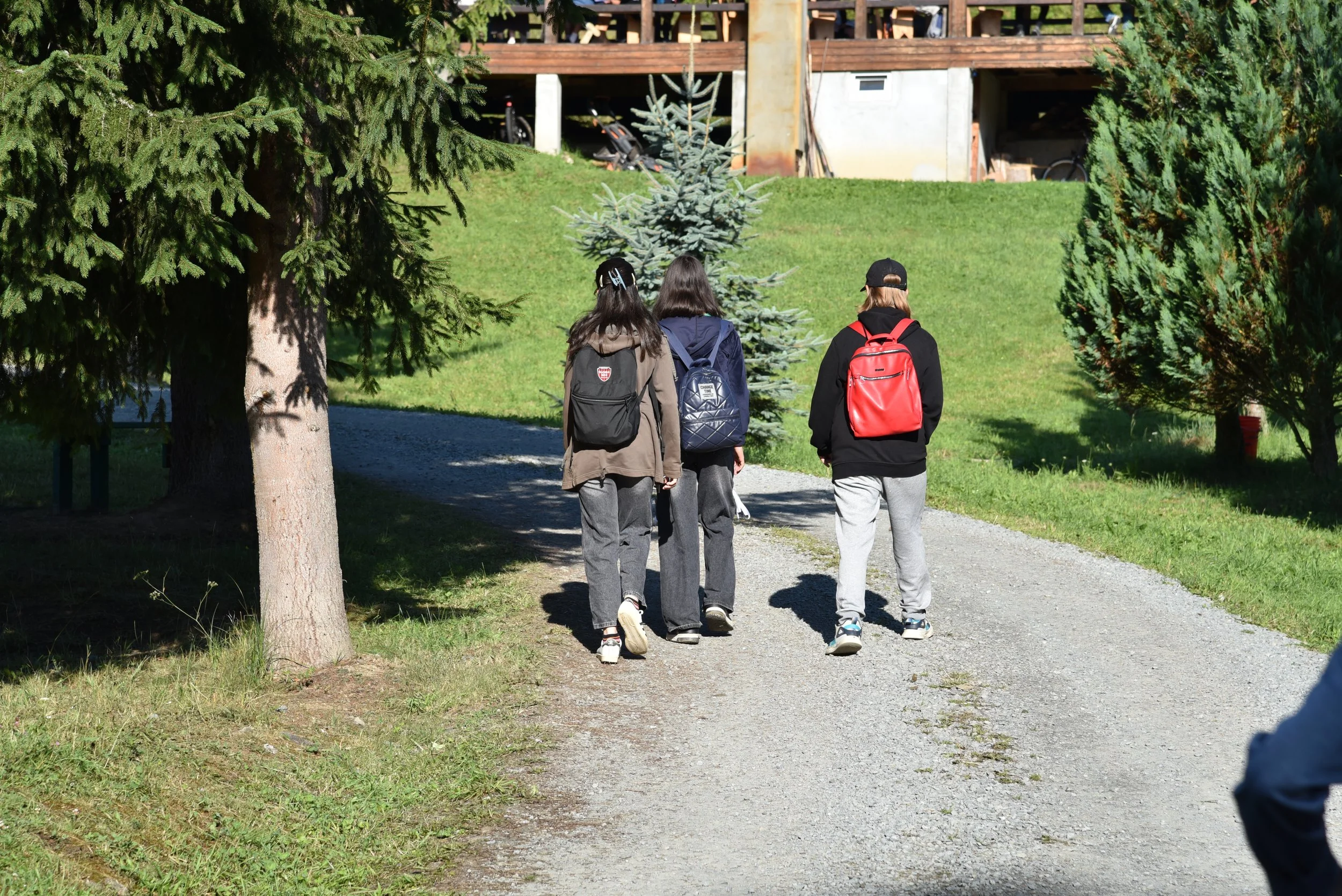 DSC_7997.JPG