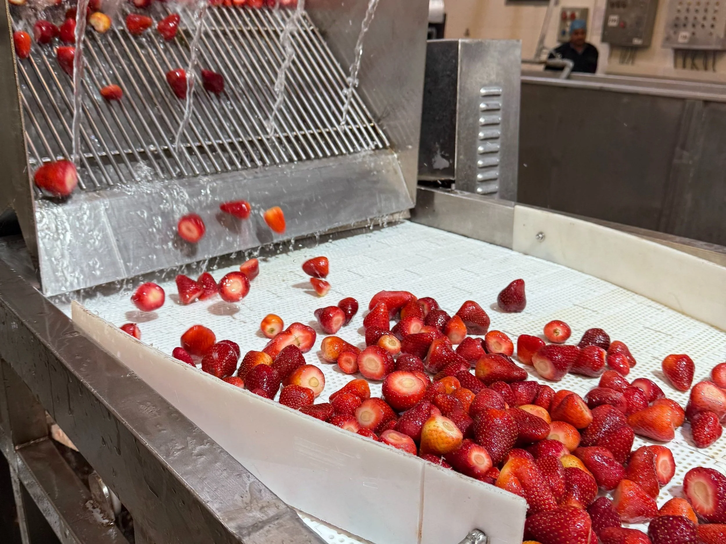 freeze dried production