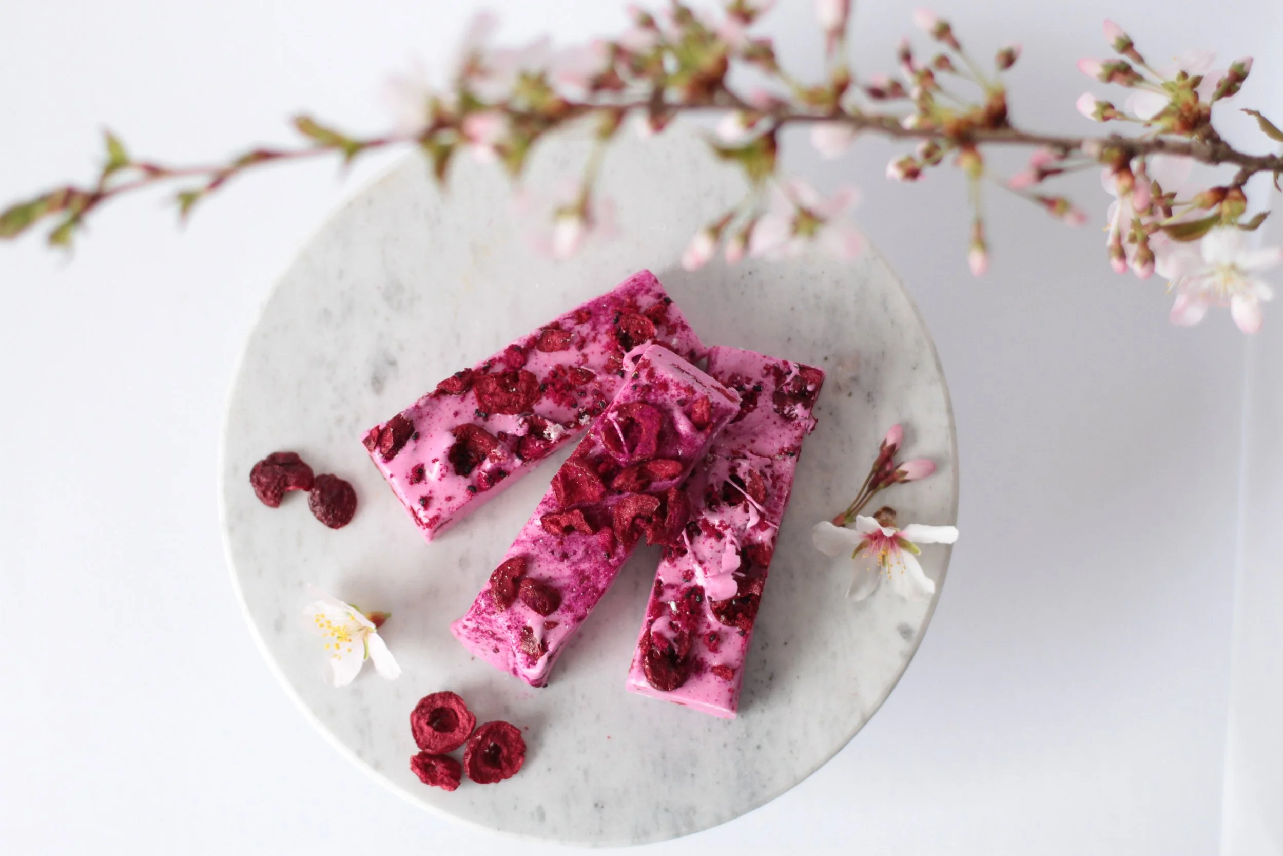 Freeze dried sour cherry recipe.JPG