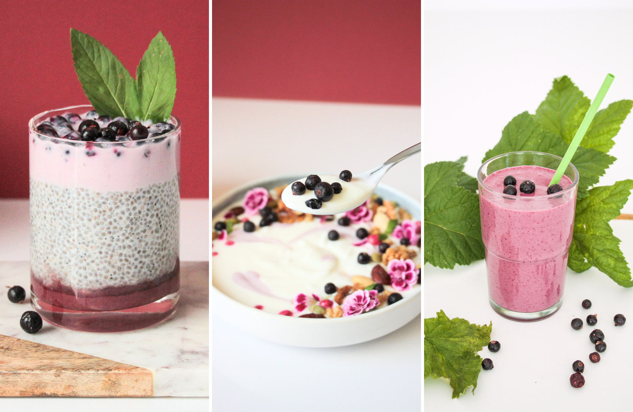 Breakfast Innovation with Freeze-Dried Black Currants: 3 Application Ideas