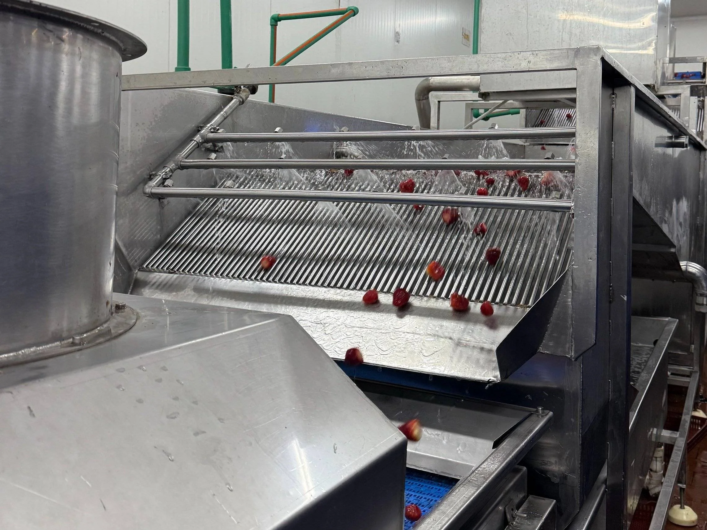 freeze dried production
