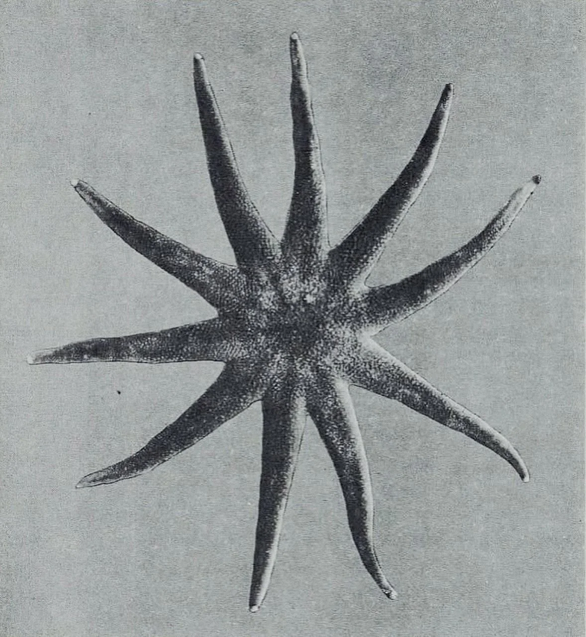 1209-hypnosis2.jpg
