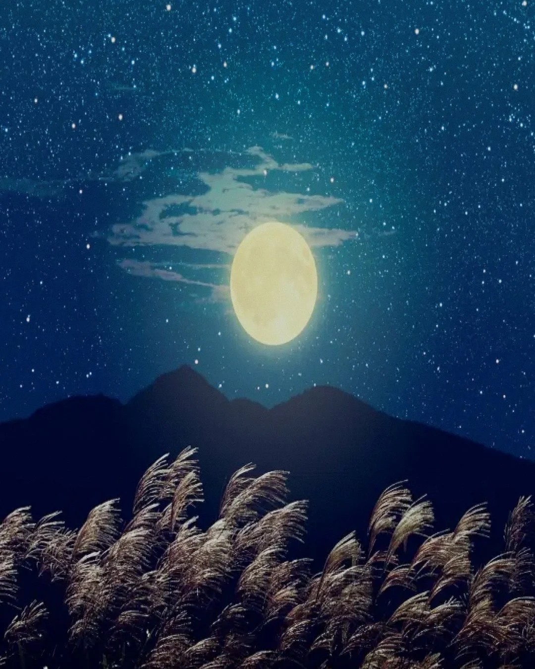 2410-full-moon.jpg
