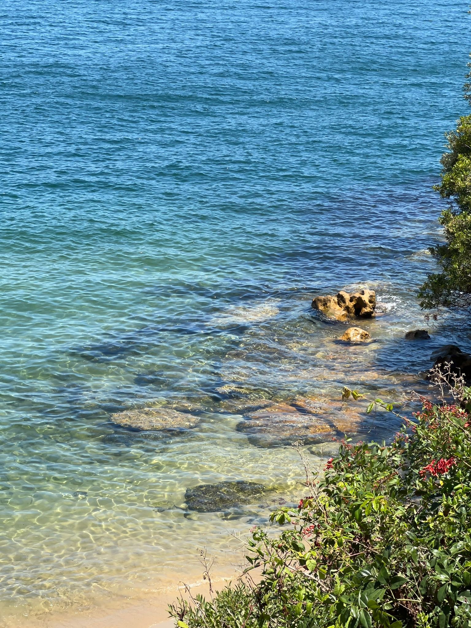 Who I Became in the Boiling Water