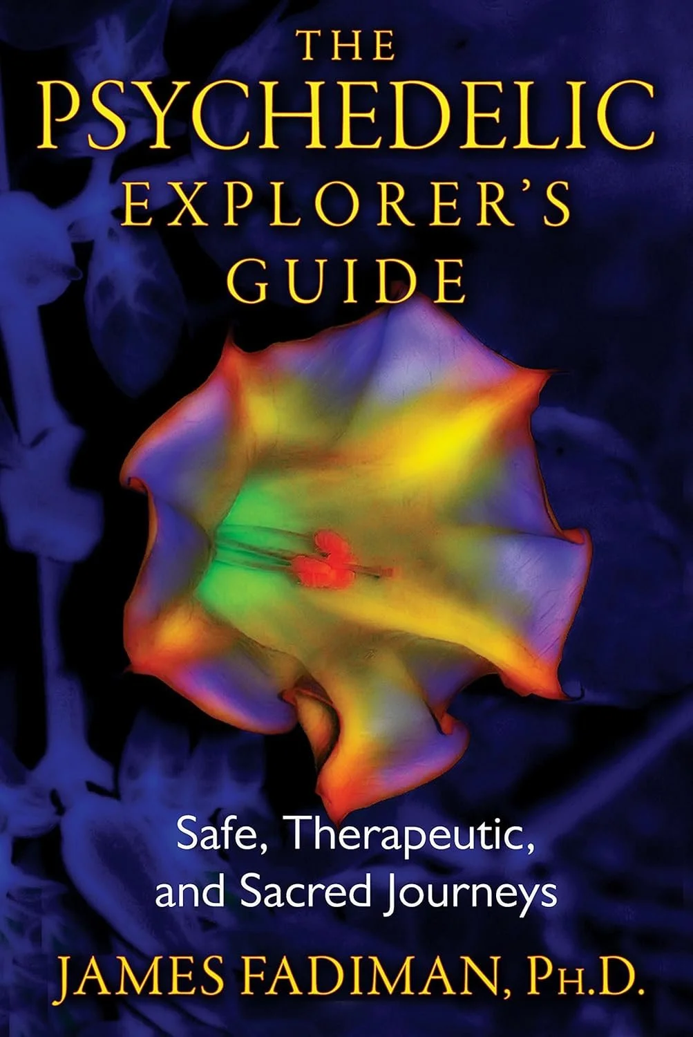 The Psychedelic Explorer's Guide: Safe, Therapeutic, and Sacred Journeys - James Fadiman