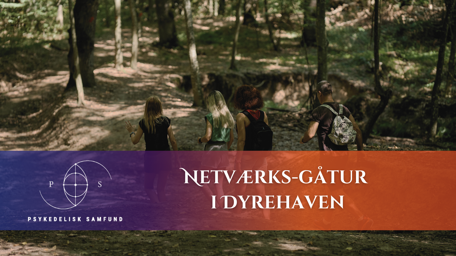 Netværksgåtur I Dyrehaven