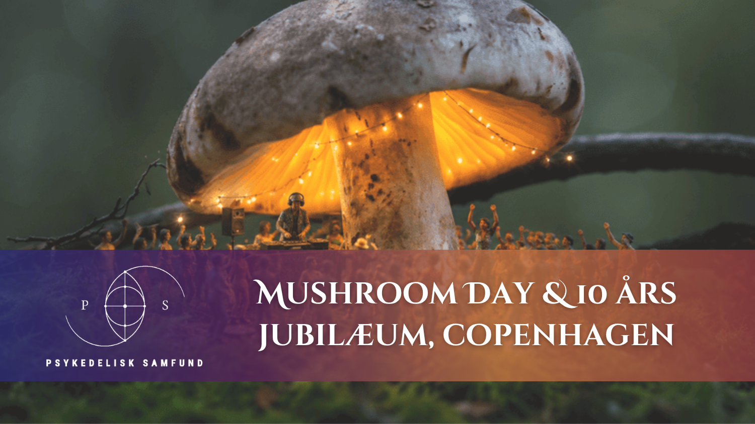 19/9-26 International svampedag & 10-års jubilæum