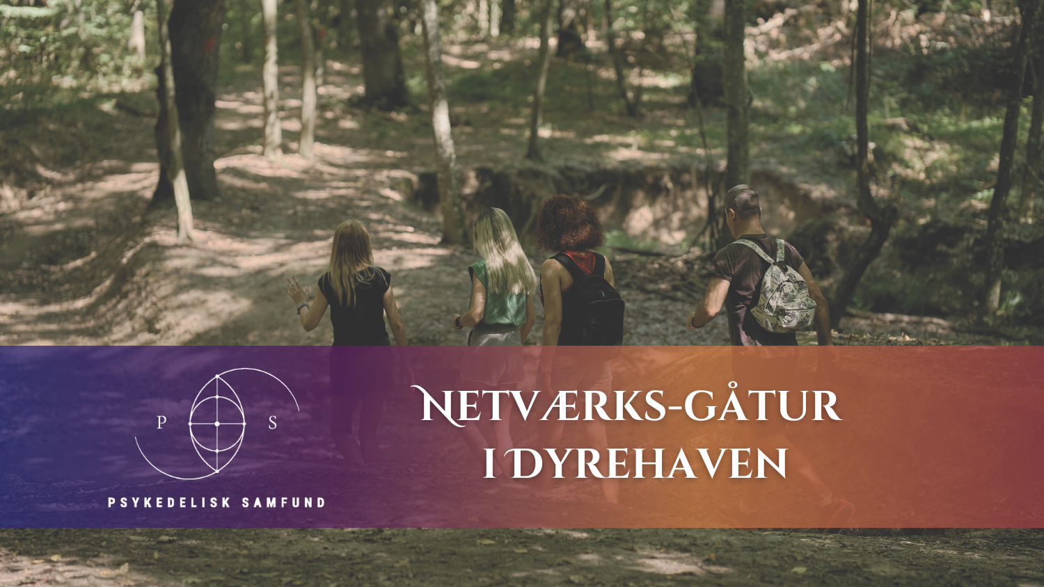 28/6-26 Netværksgåtur i Dyrehaven