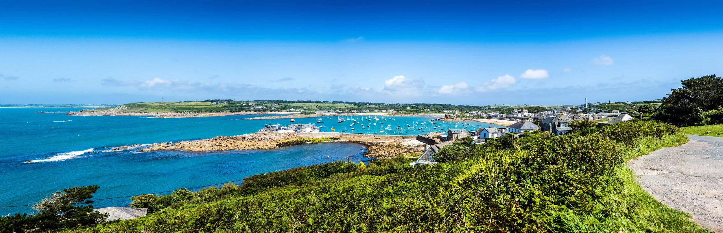 Falmouth’s Flora &amp; The Enchanting Isles of Scilly 30th July—3rd August&nbsp;