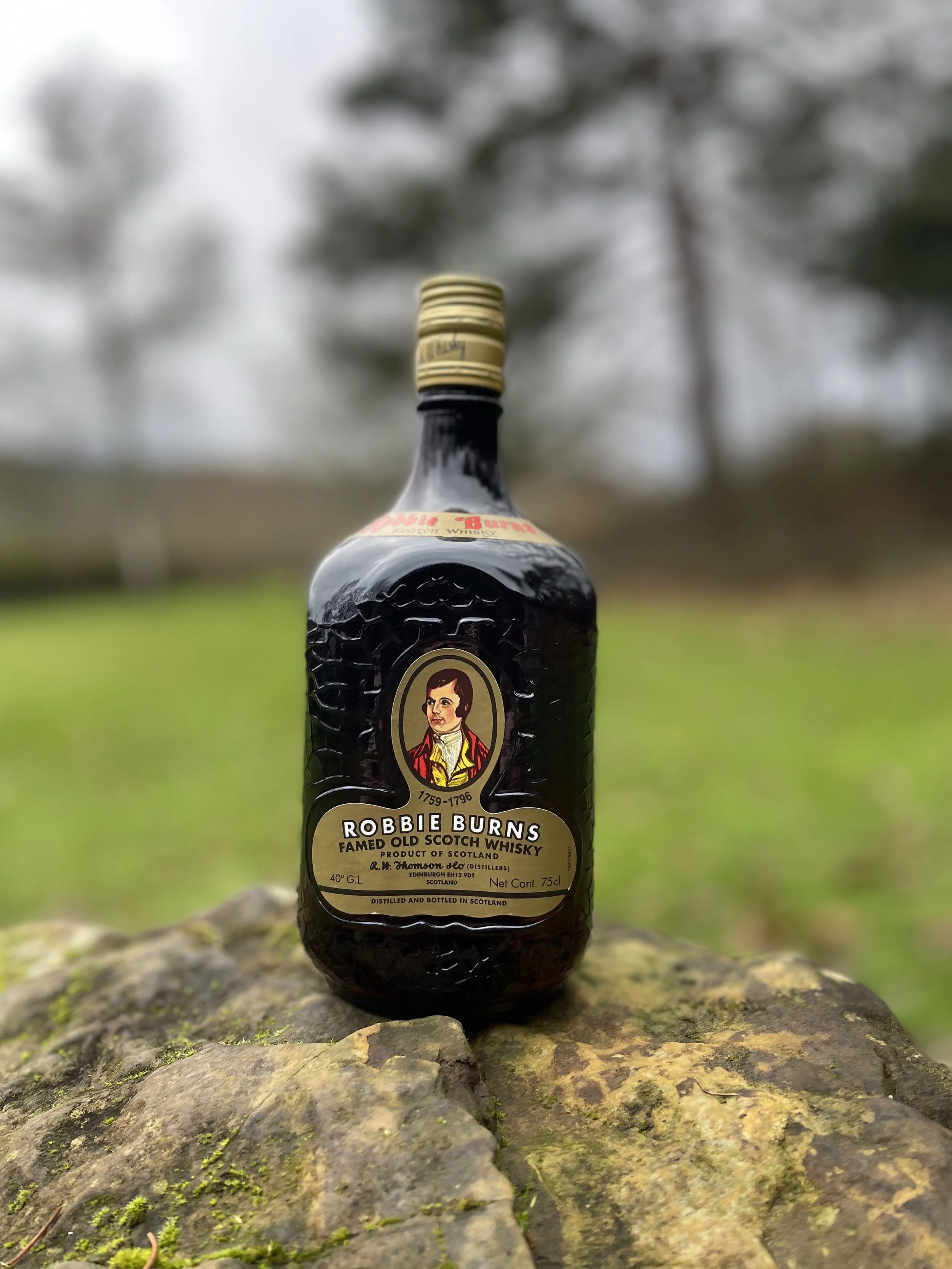 Robbie Burns 1980s.jpg