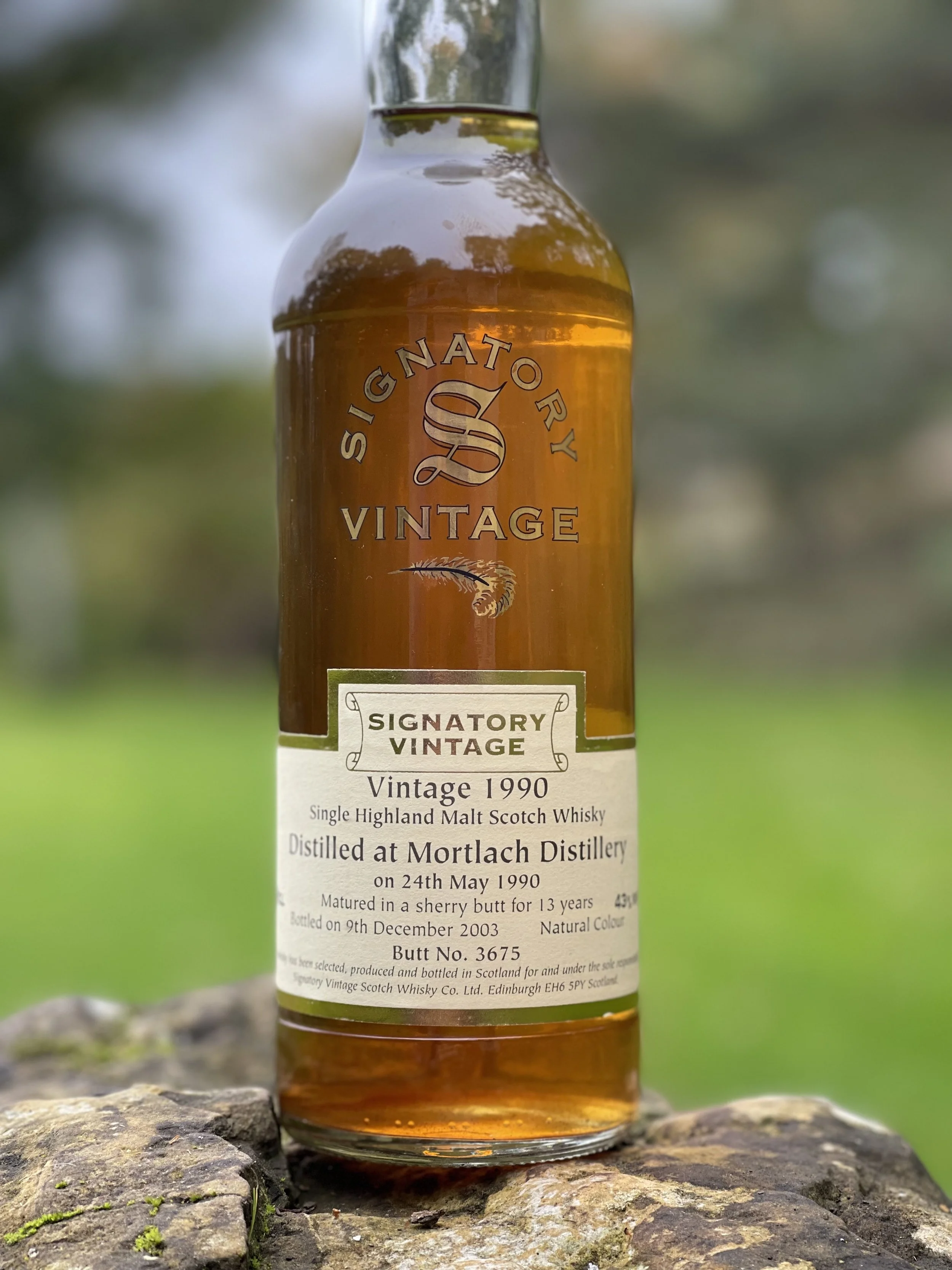 Mortlach1990 2.jpg