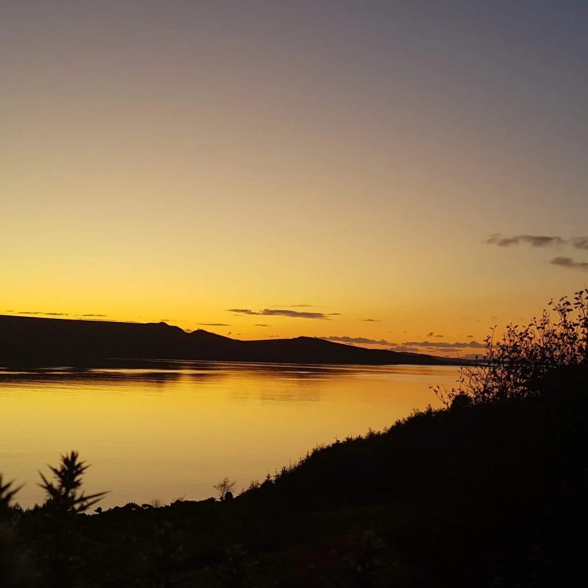 Sketching with Shadows