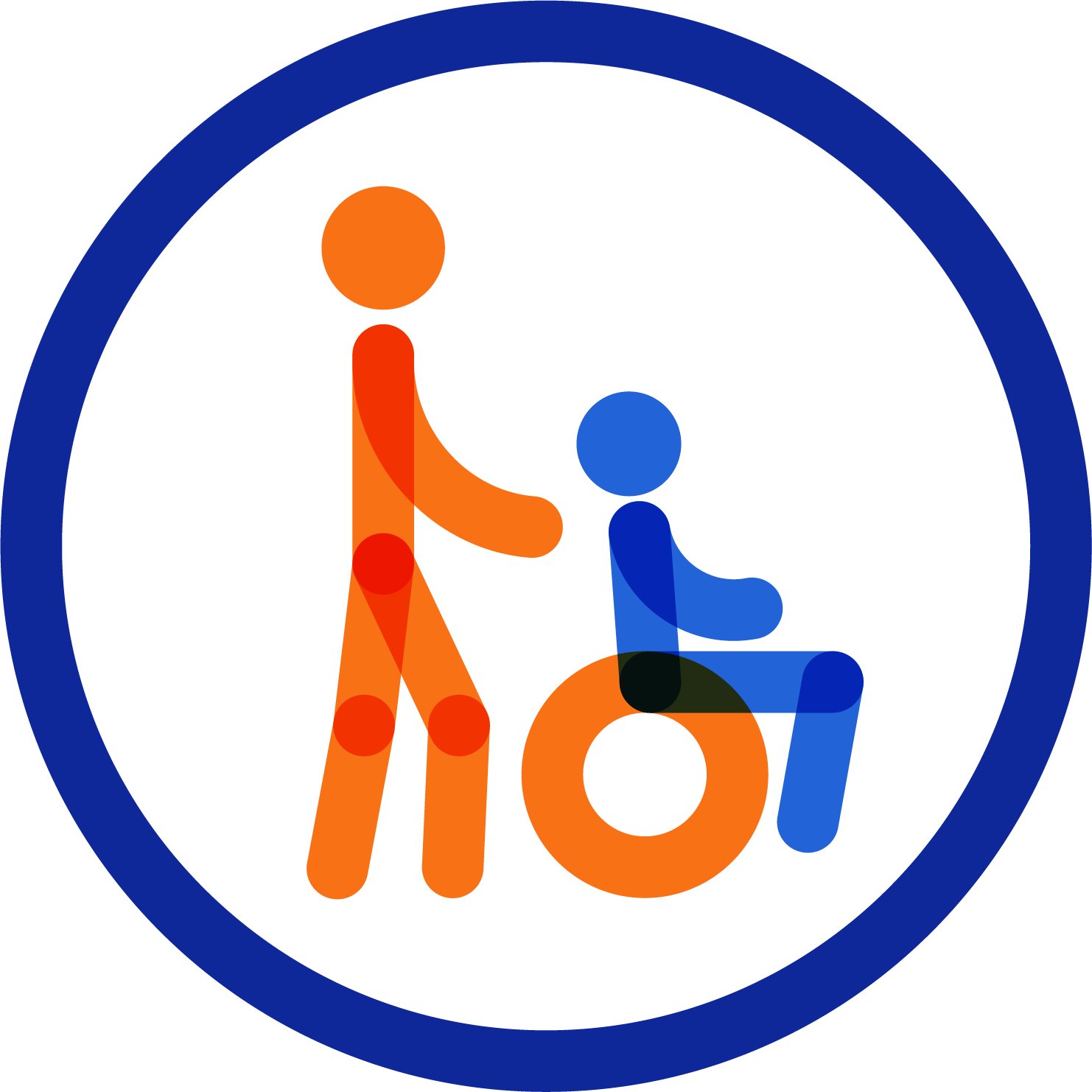 Physical Disability: Assistant Propelled Manual Wheelchair User