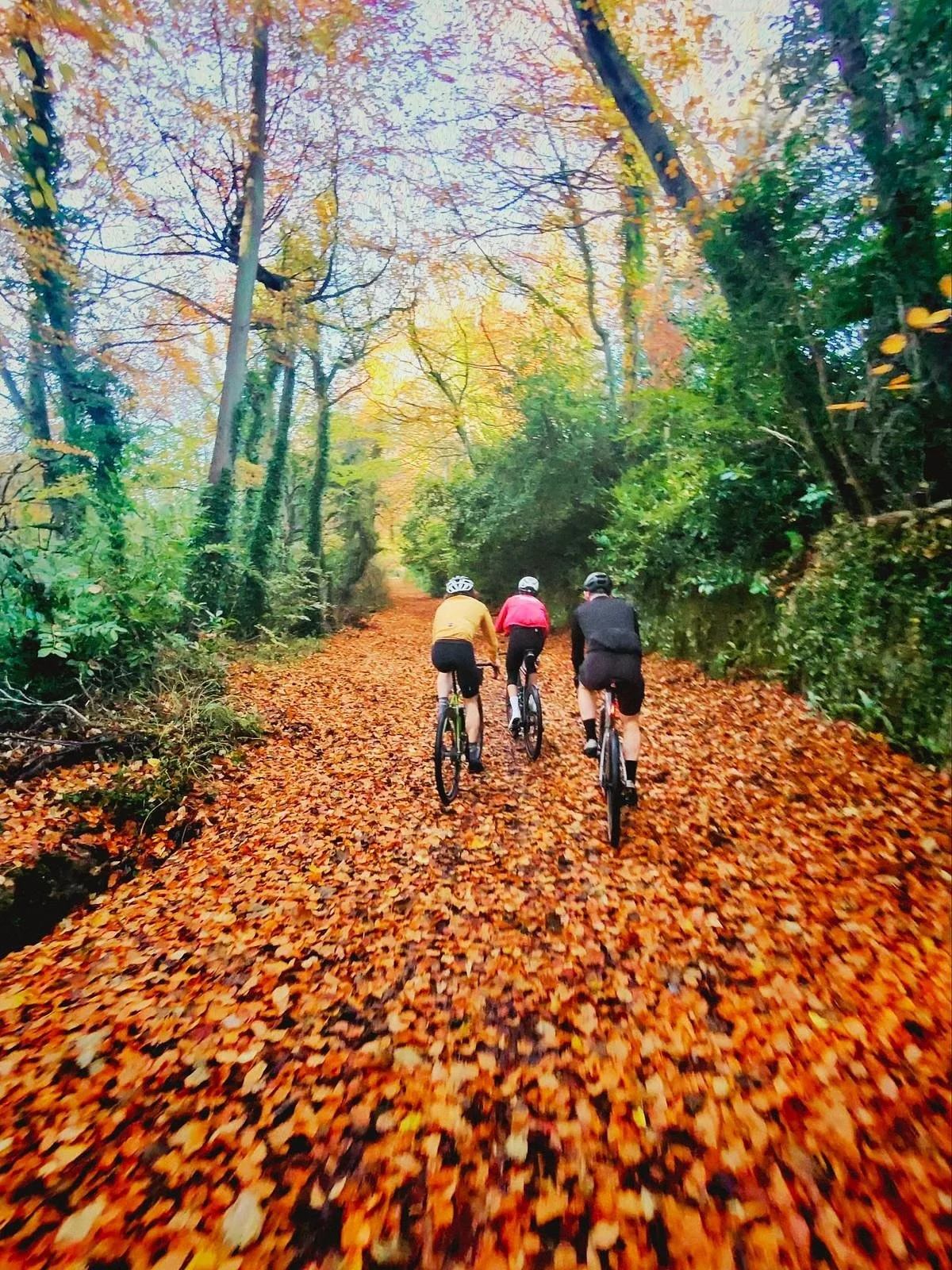 Early morning gravel spin today led by @kemilkesey  and @mack_mirahmadi. 🍁🍂 It looks absolutely amazing. We can&rsquo;t see their faces, but we know they&rsquo;re smiling. 📷: @andyscott_ie 🎥: @kon_vsk