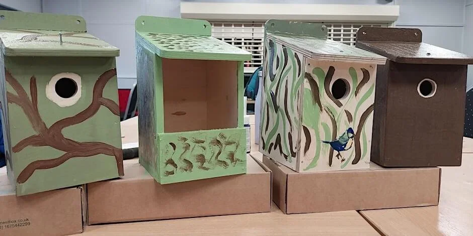 Wellbeing in nature - Bat and Bird boxes