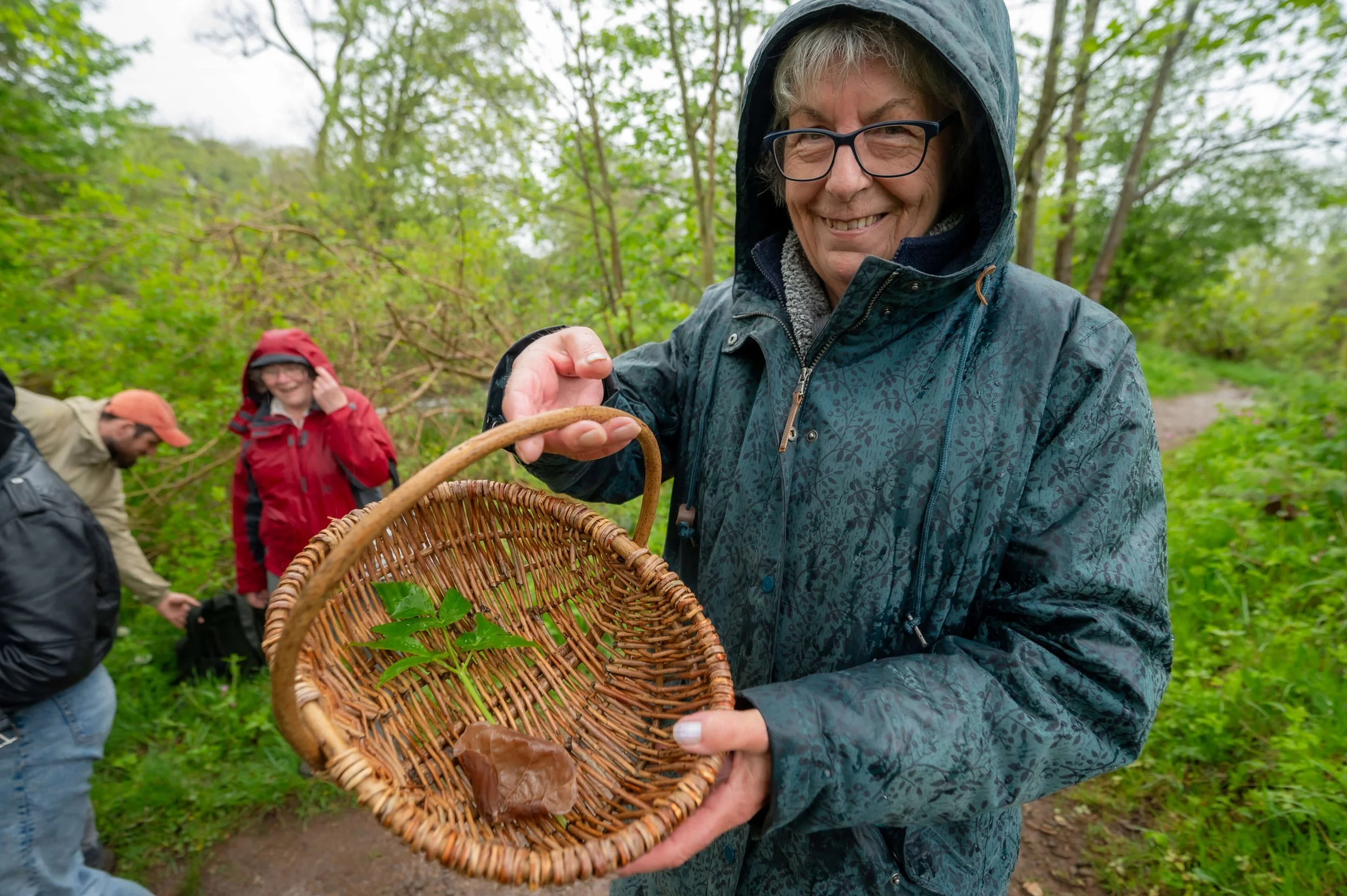 Foraging image
