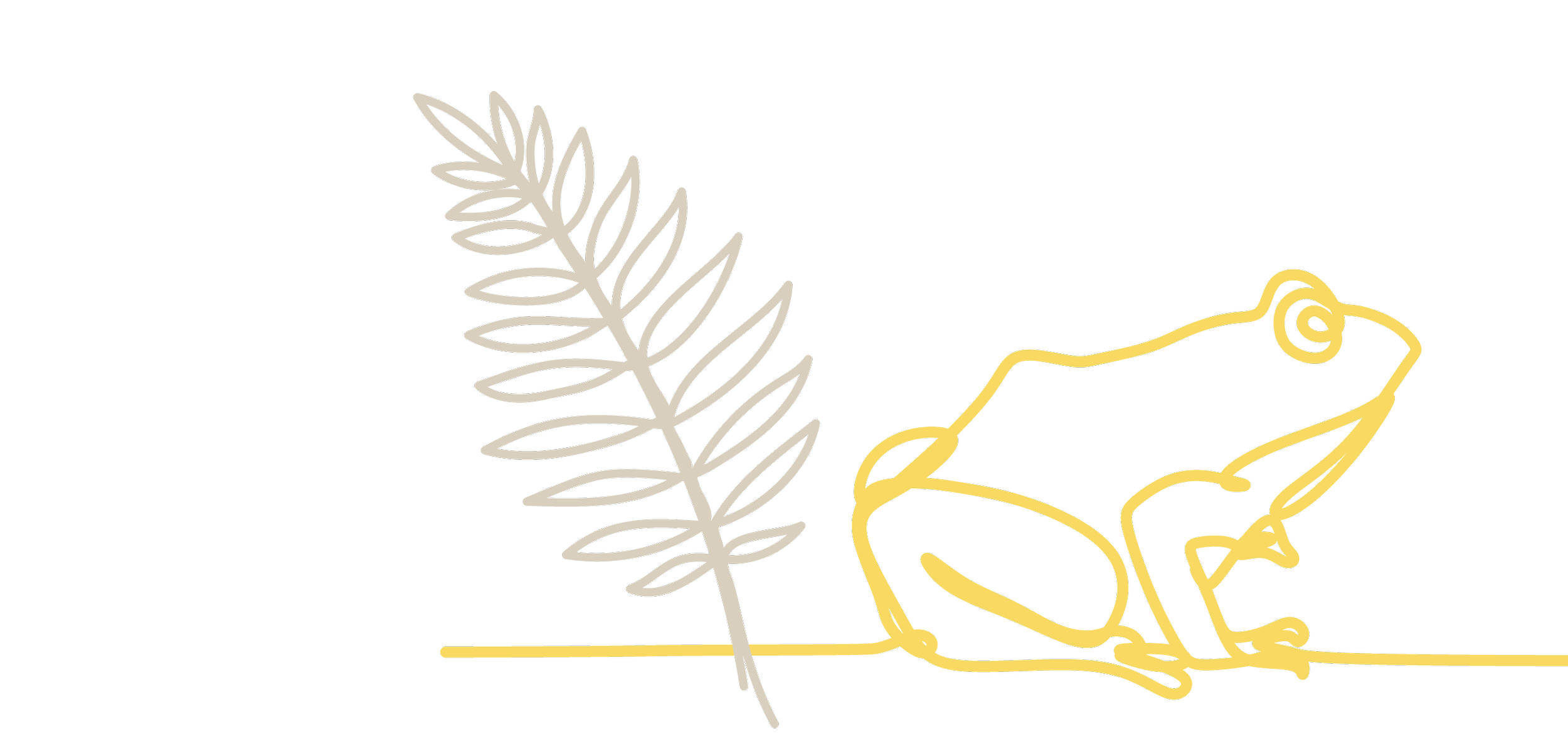 Neon outline of a frog sitting on a line next to a chalk plant or fern on a black background.