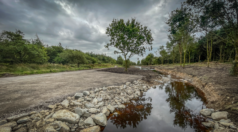River Restoration