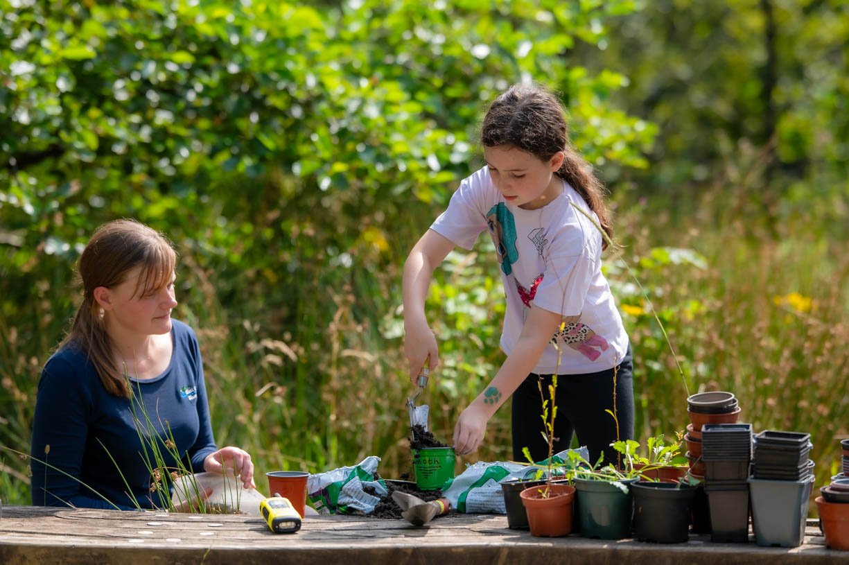 Walkmill Summer Family Fun Day